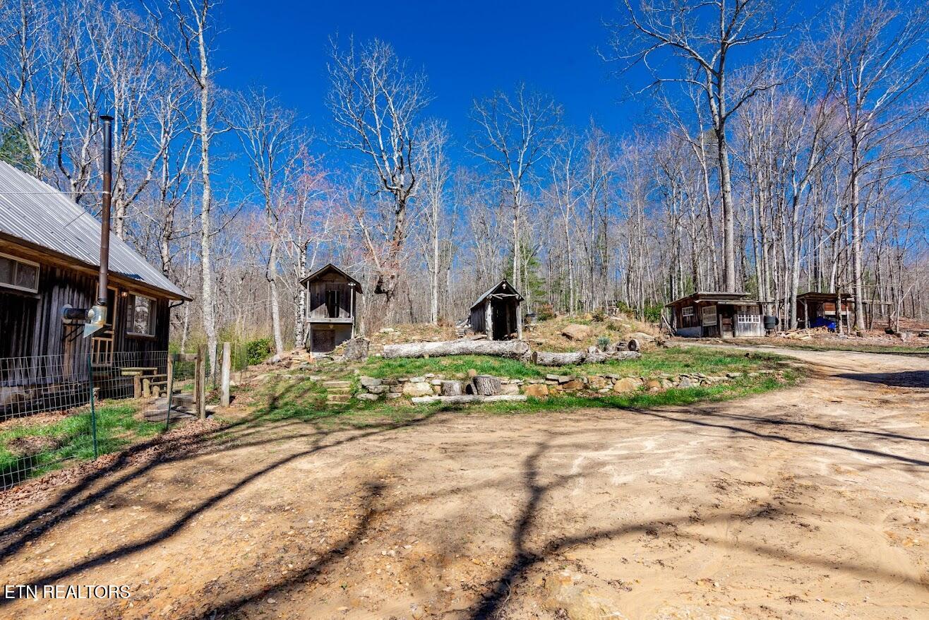 140 Luna Lane Spring City TN 37381
