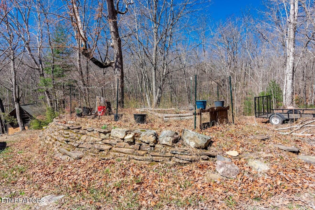 140 Luna Lane Spring City TN 37381