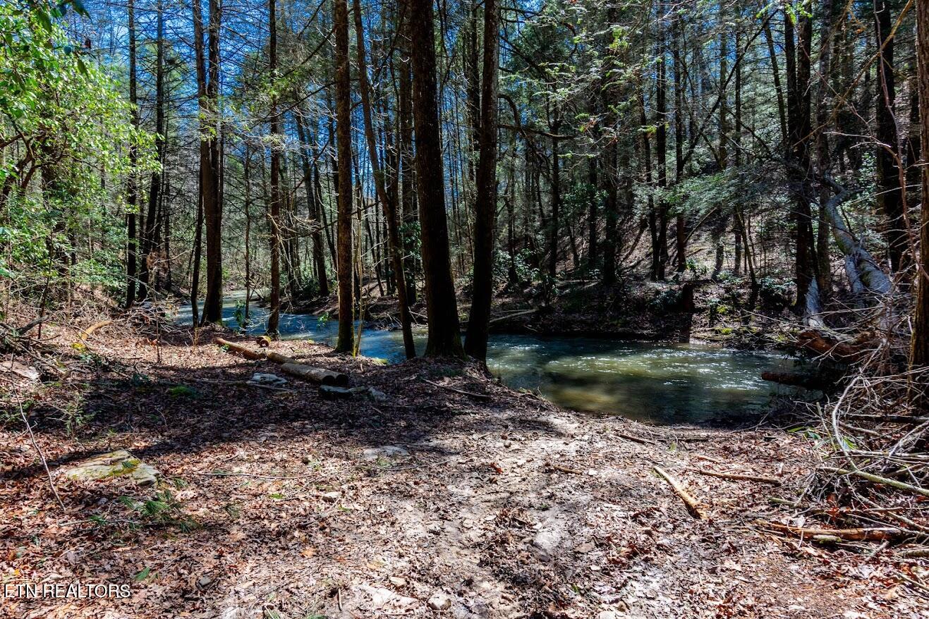 140 Luna Lane Spring City TN 37381