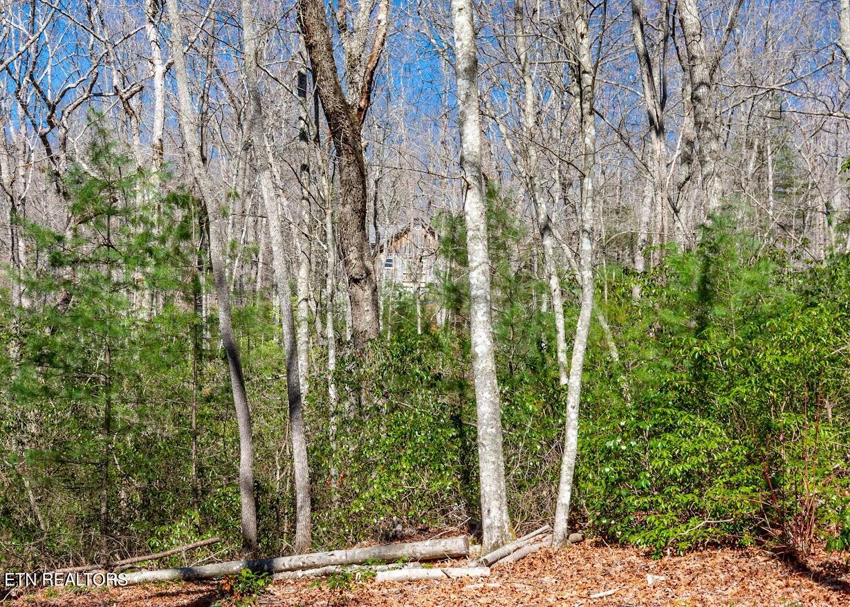 140 Luna Lane Spring City TN 37381