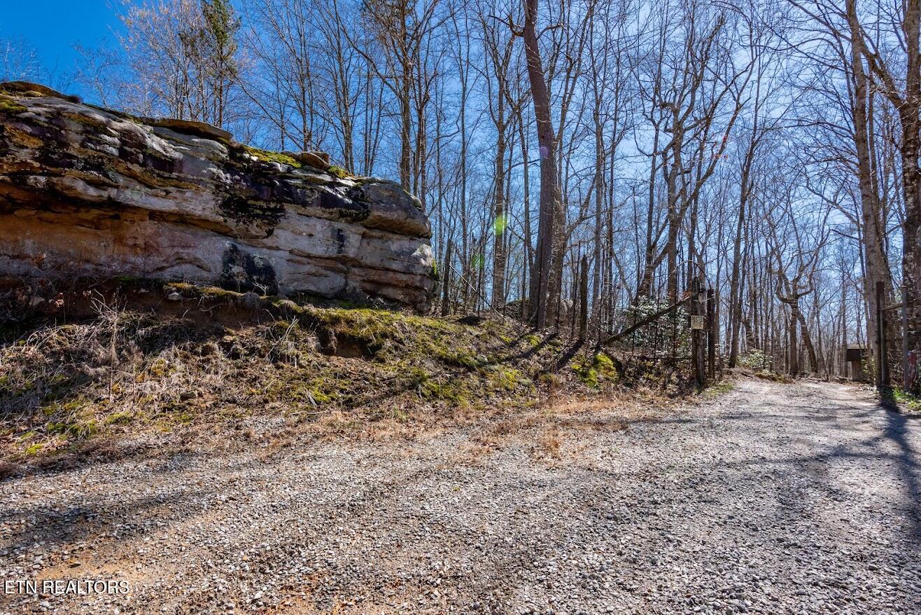 140 Luna Lane Spring City TN 37381