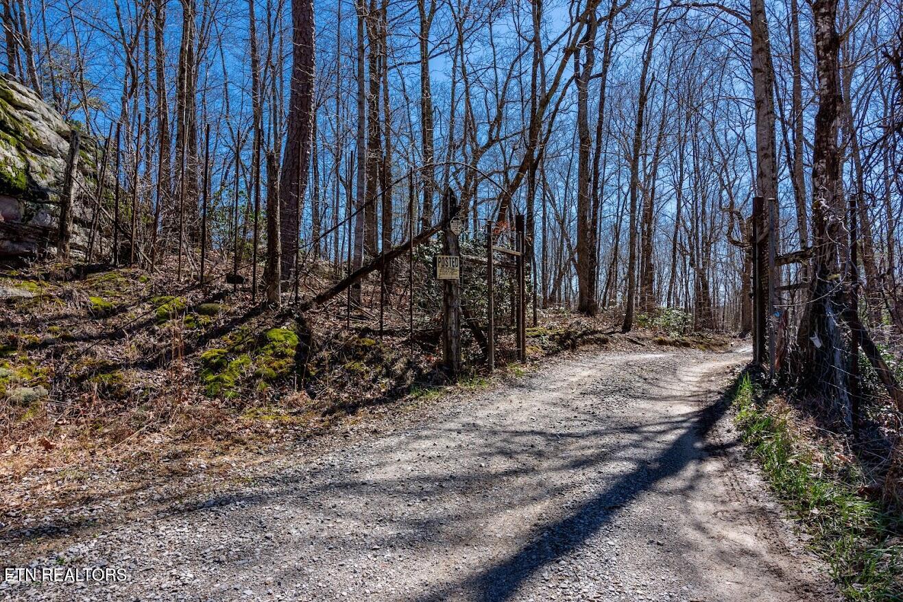 140 Luna Lane Spring City TN 37381