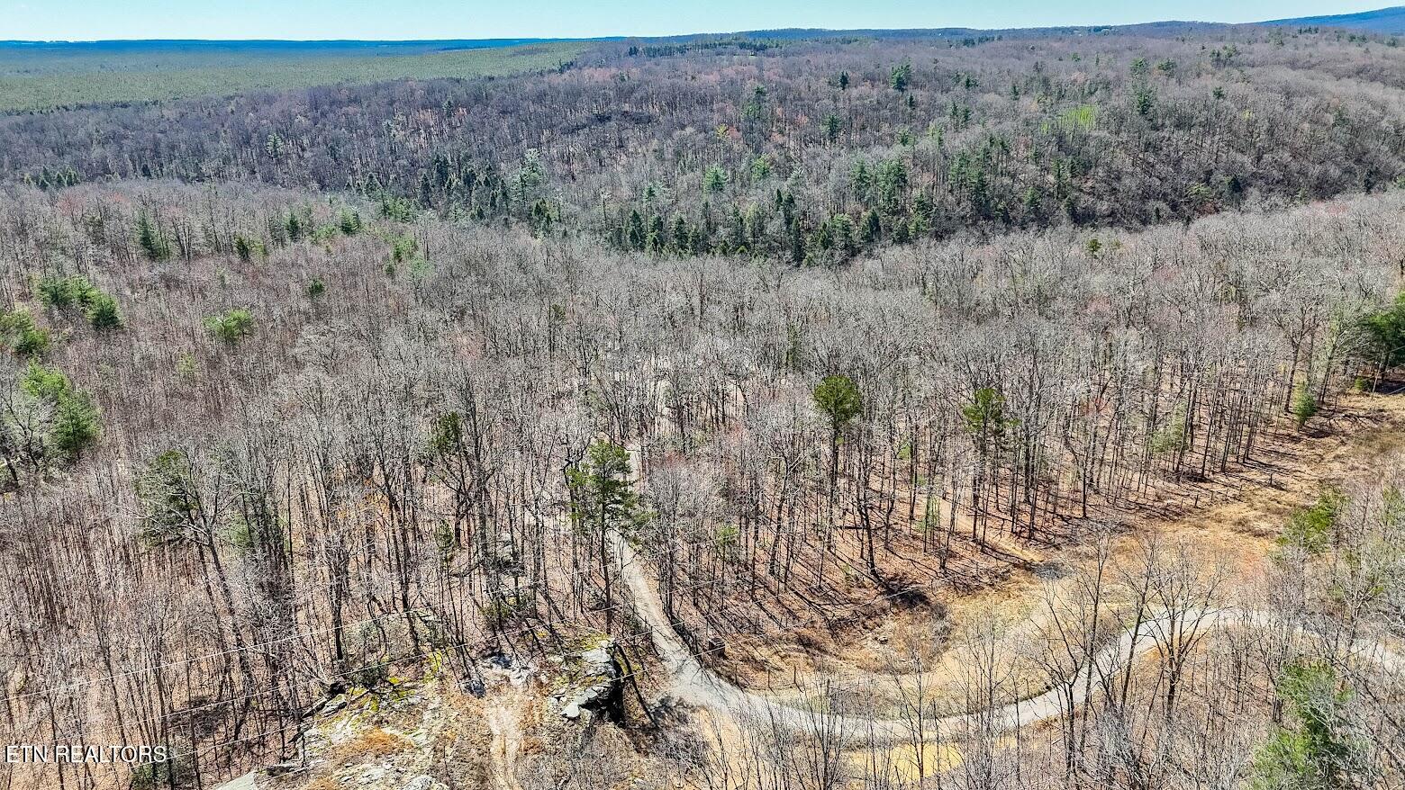 140 Luna Lane Spring City TN 37381