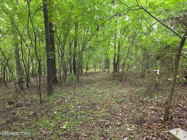 6239 N Trigonia Road Greenback TN 37742