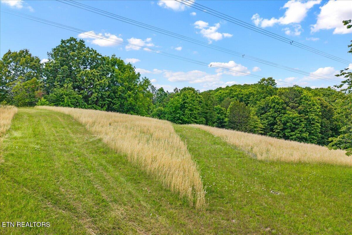 1627/1629 Wasson Road Ten Mile TN 37880