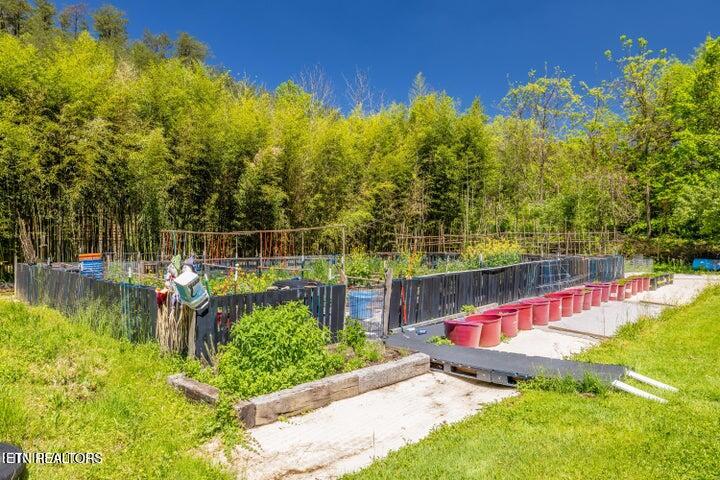 3244 Lost Branch Road Sevierville TN 37862