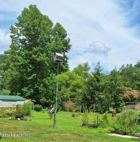 3244 Lost Branch Road Sevierville TN 37862
