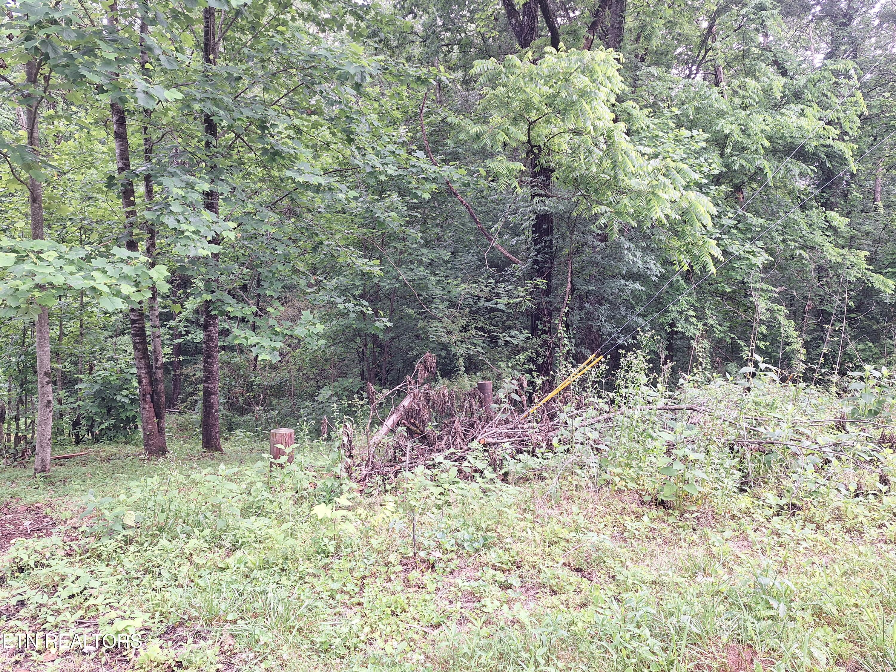 160 Mountain Road Tellico Plains TN 37385