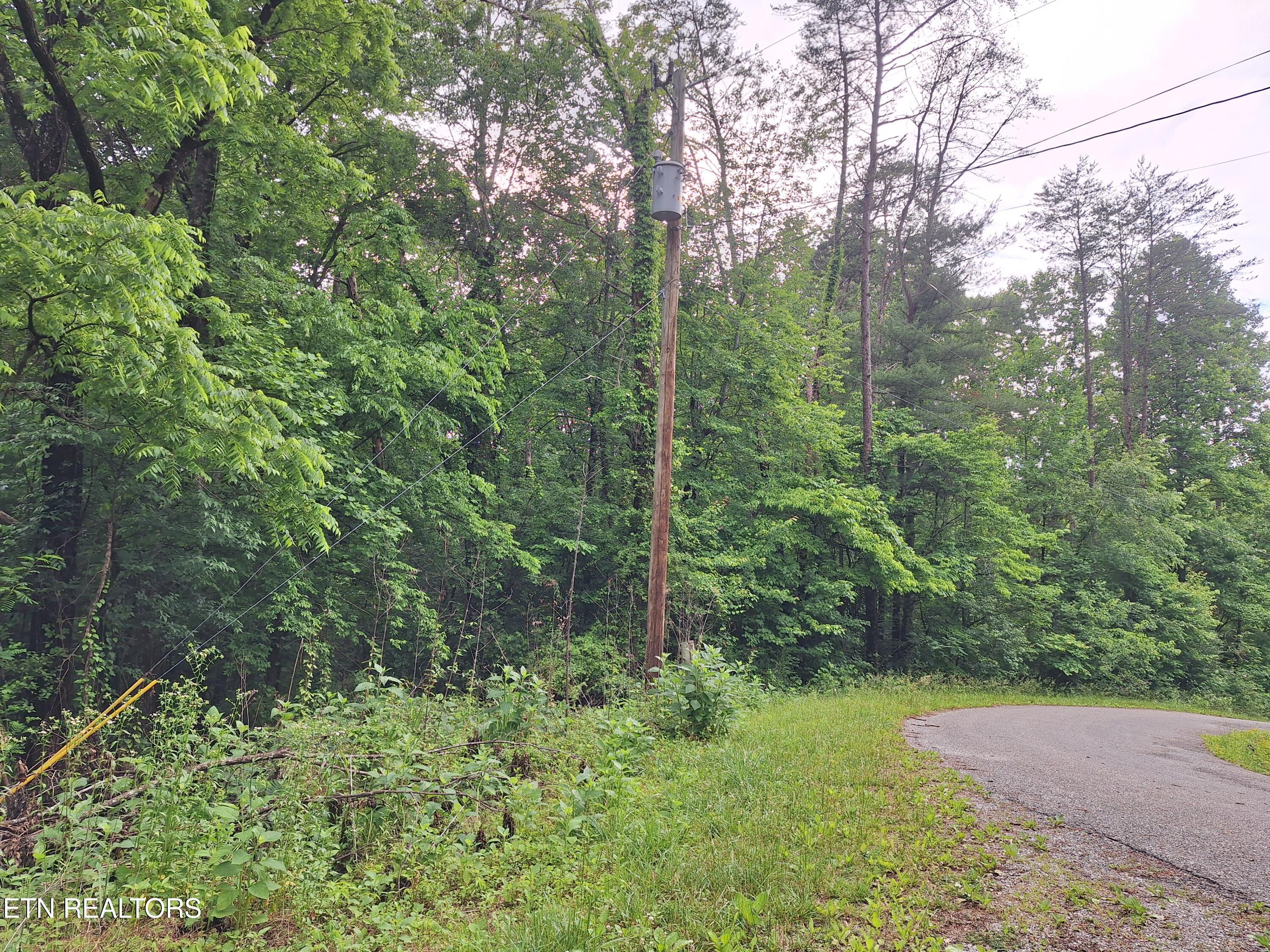 160 Mountain Road Tellico Plains TN 37385