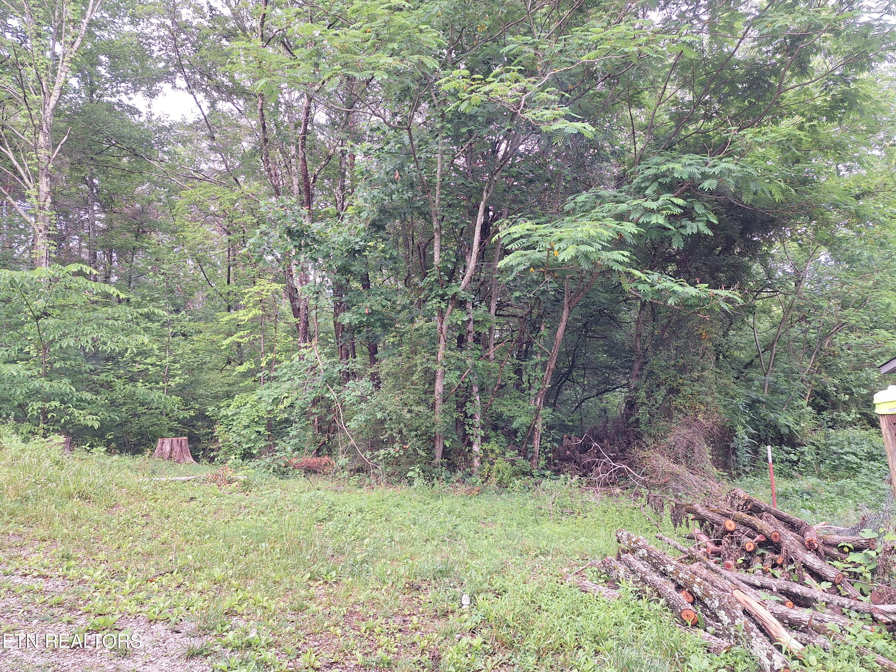 160 Mountain Road Tellico Plains TN 37385