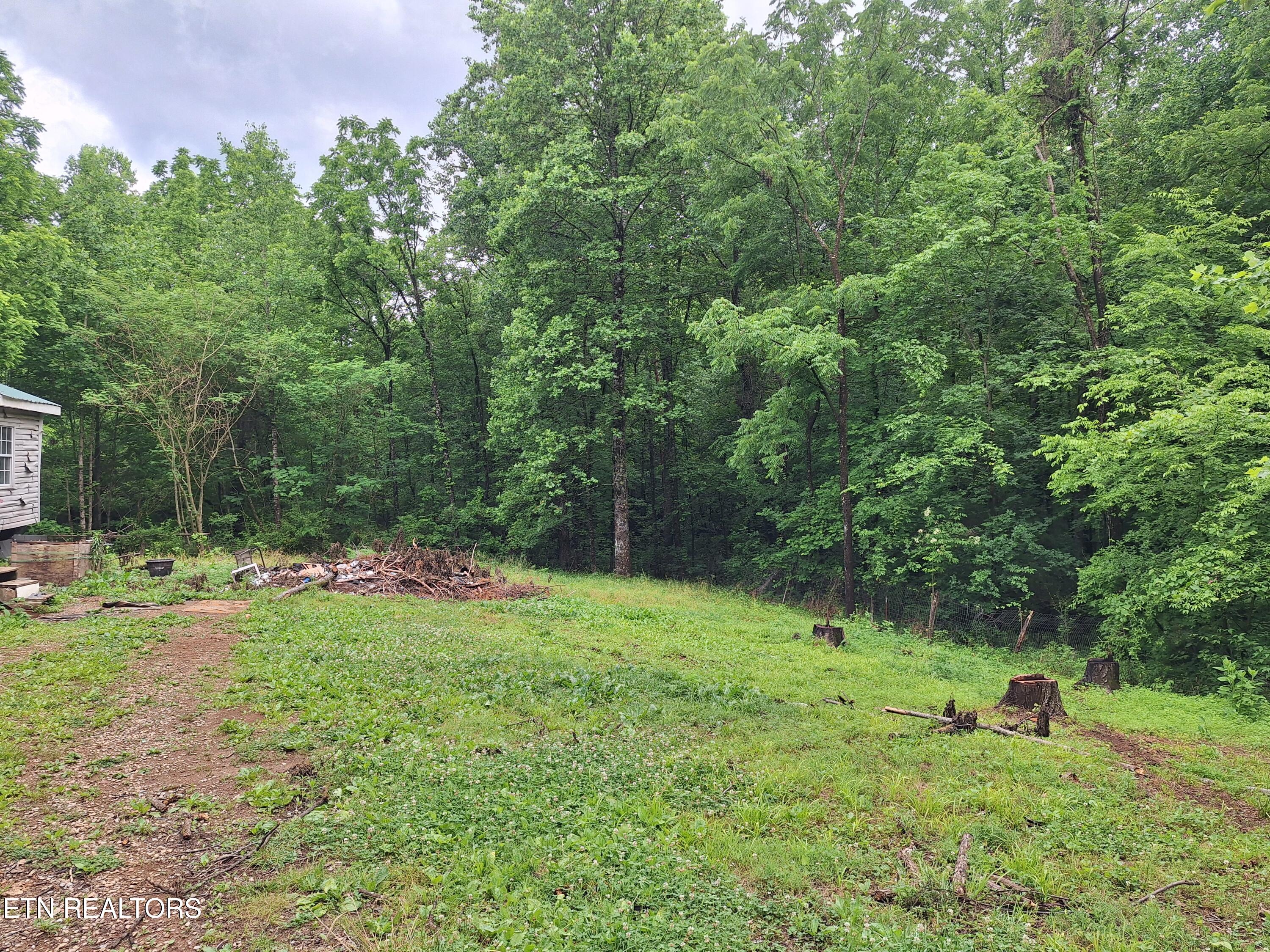 160 Mountain Road Tellico Plains TN 37385