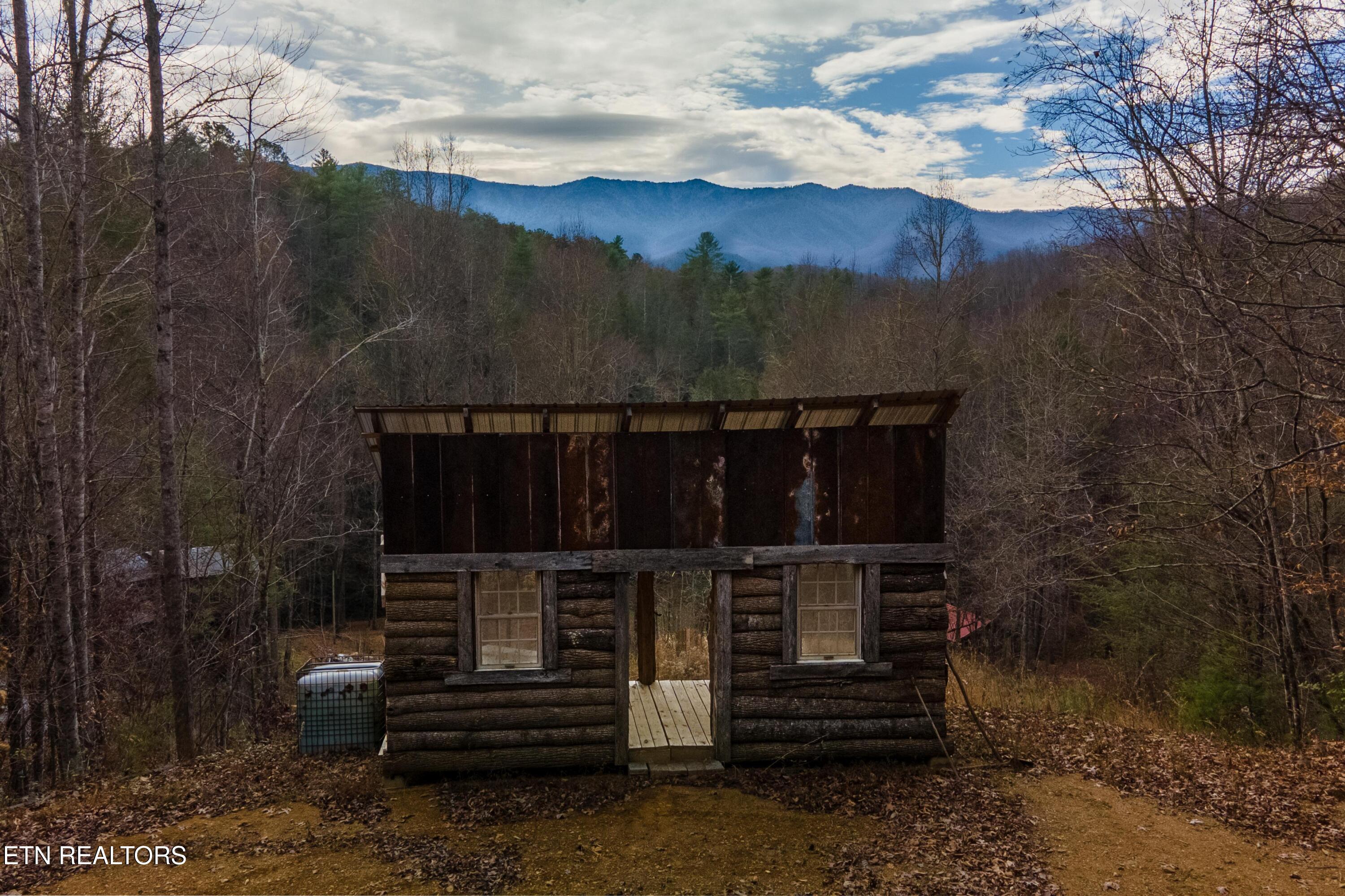 925 Newcombe Branch Way Cosby TN 37722