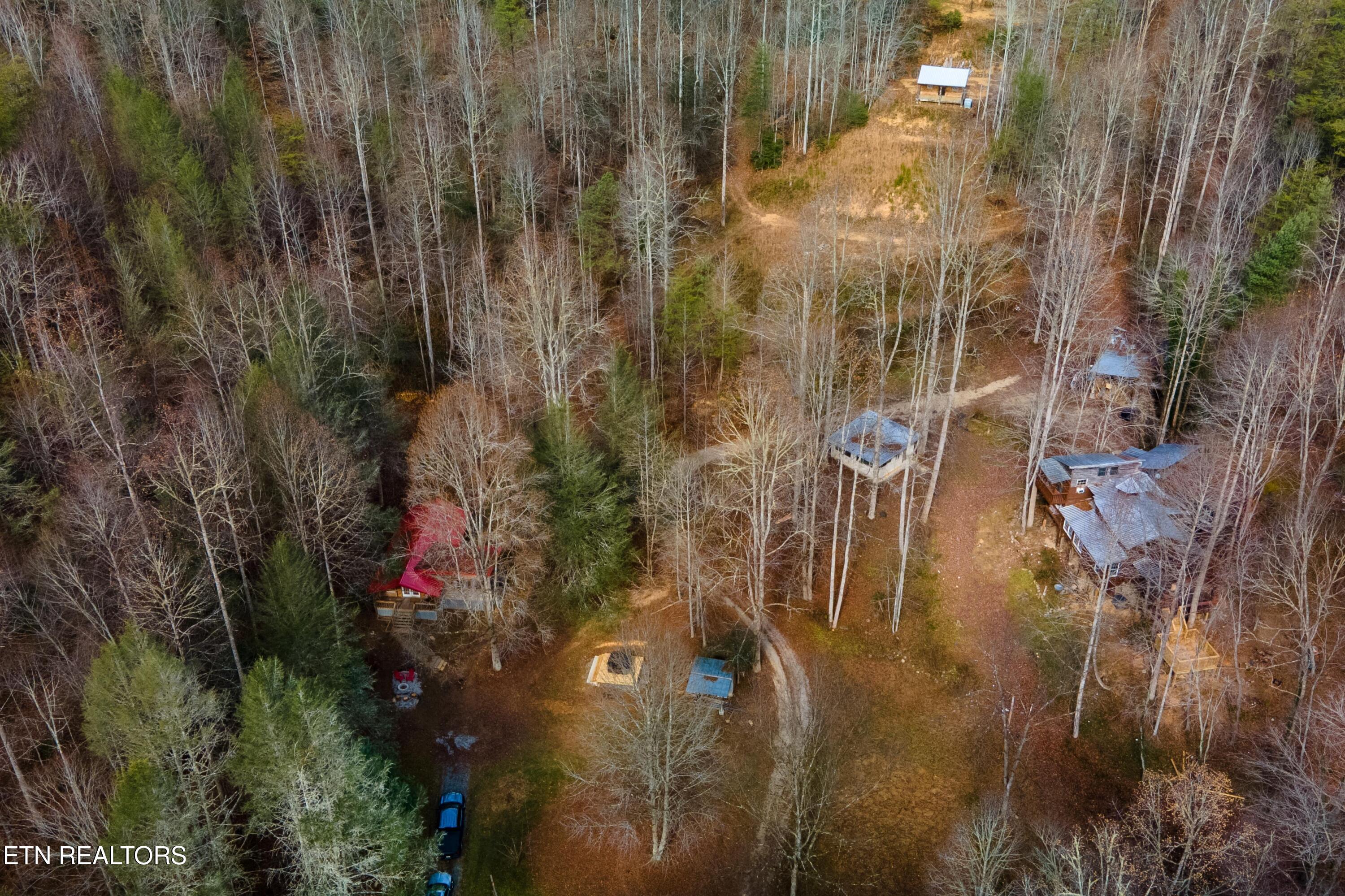 925 Newcombe Branch Way Cosby TN 37722