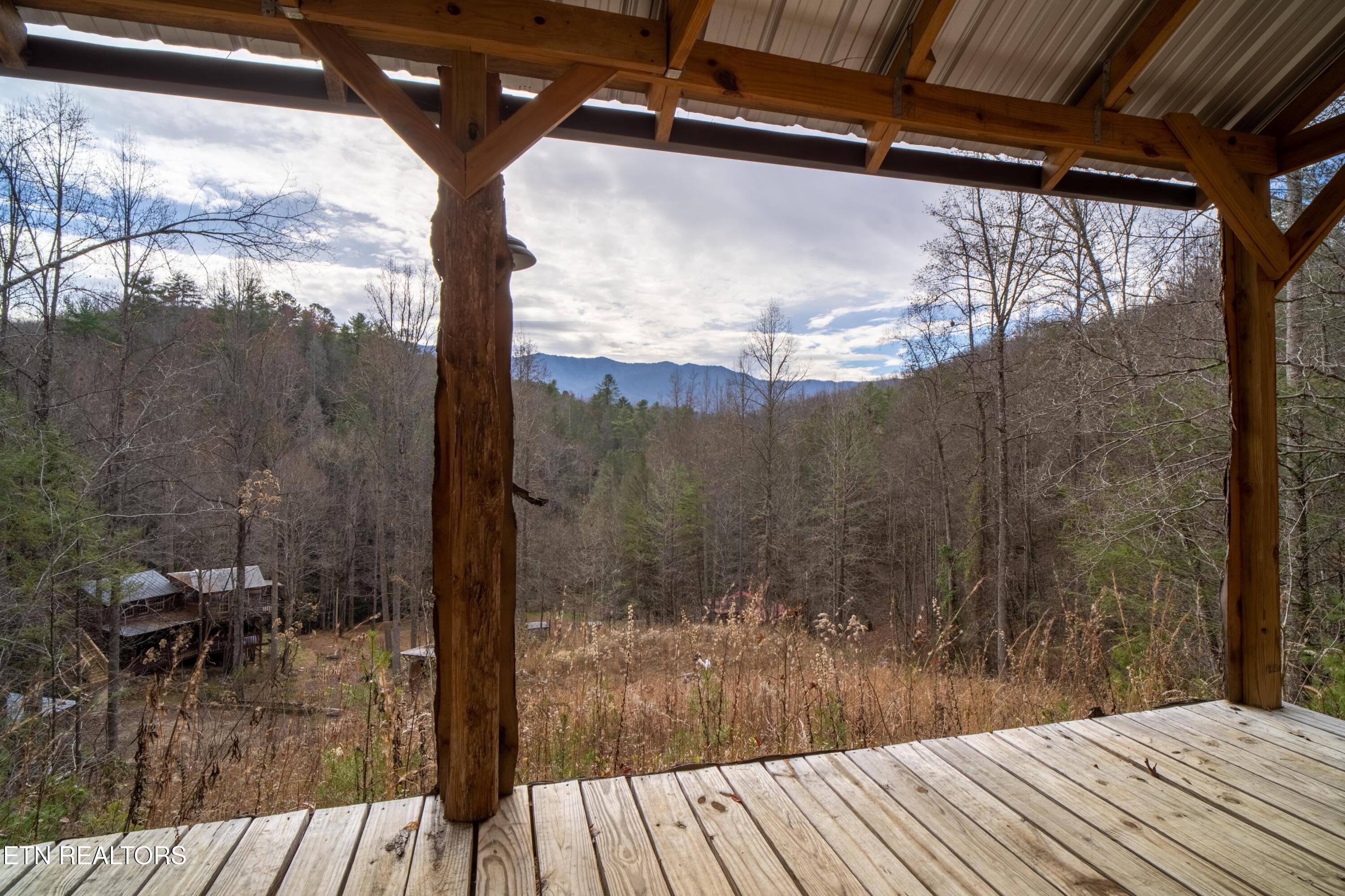 925 Newcombe Branch Way Cosby TN 37722