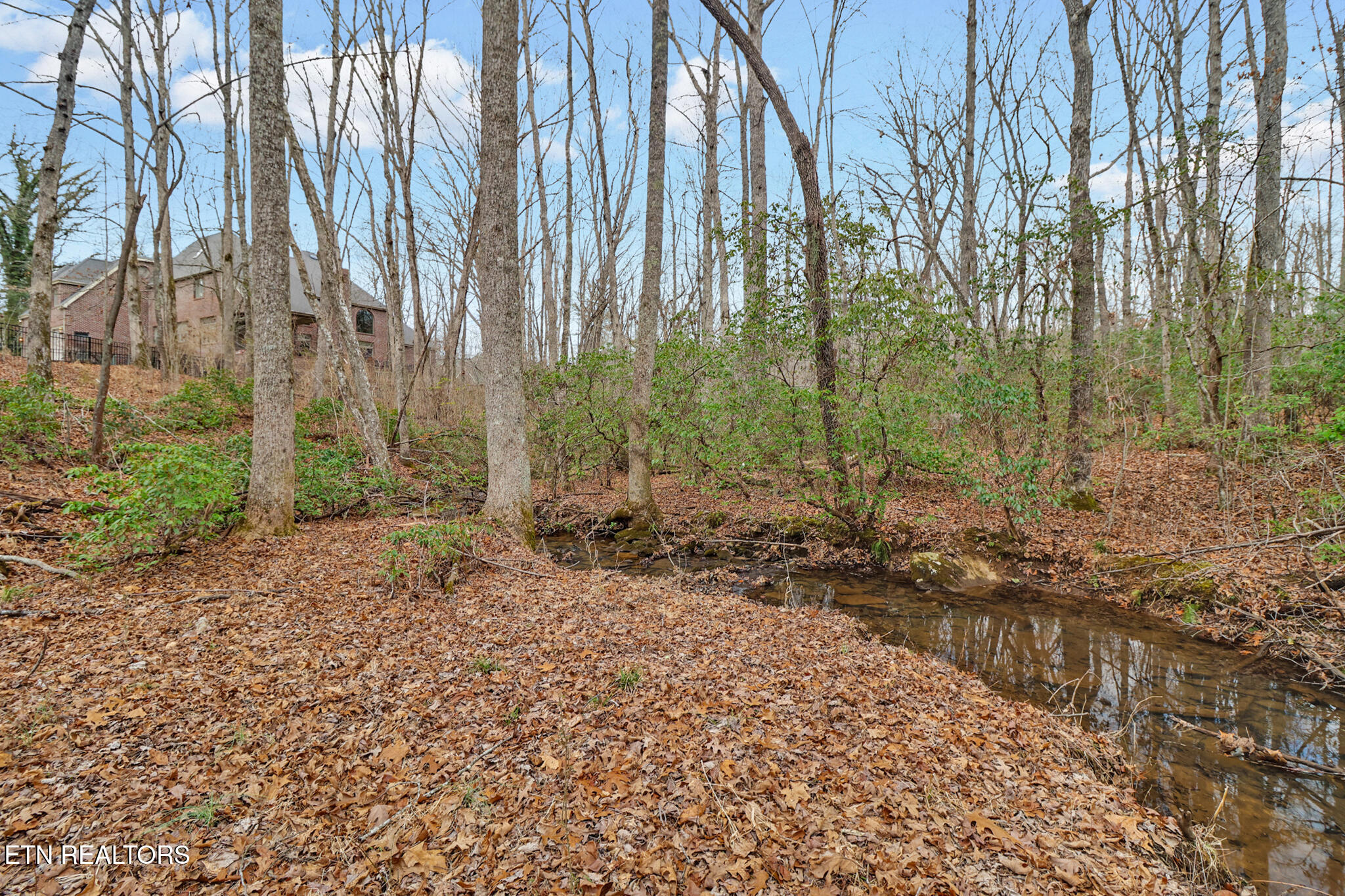 218 Channing Lane Crossville TN 38555