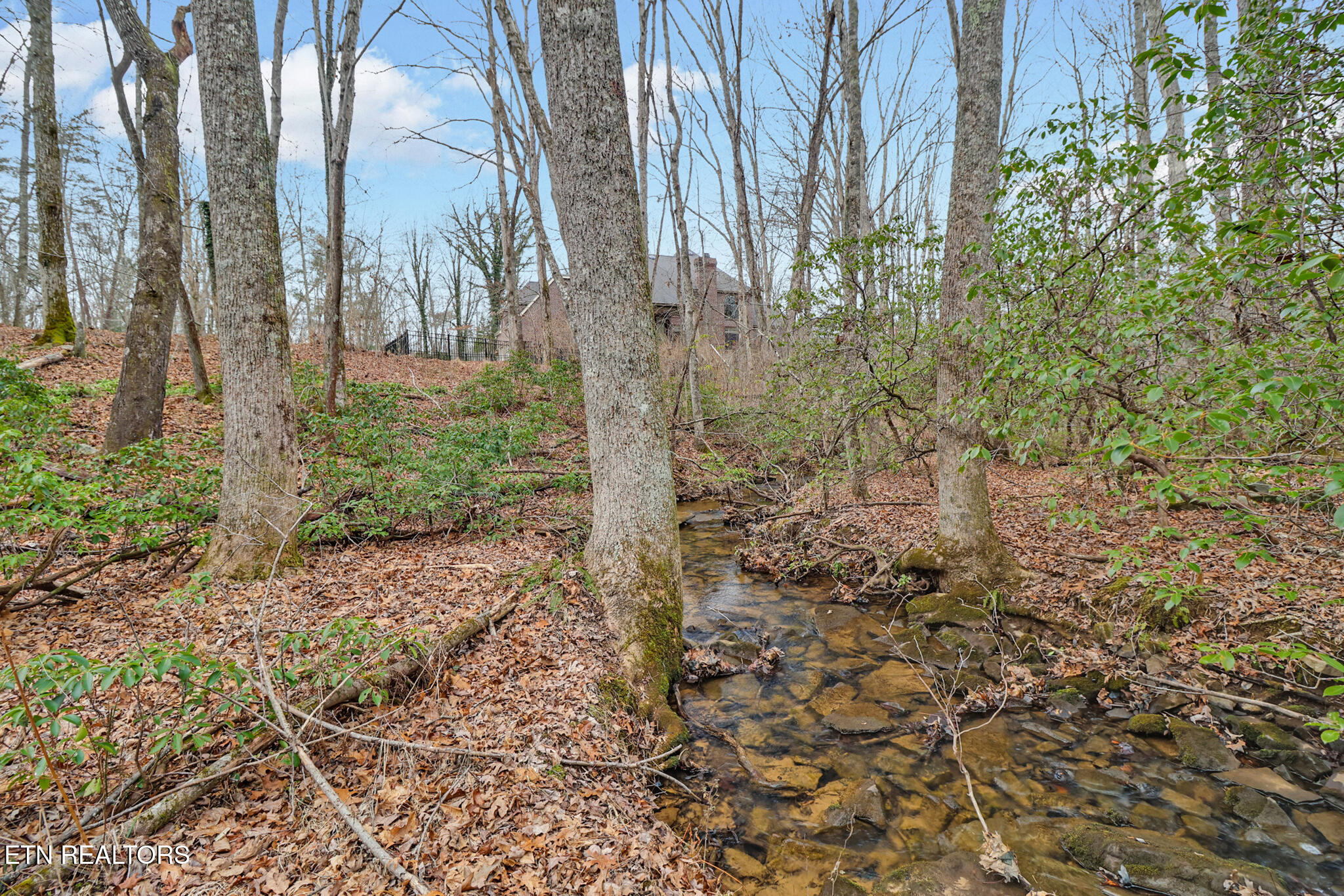 218 Channing Lane Crossville TN 38555