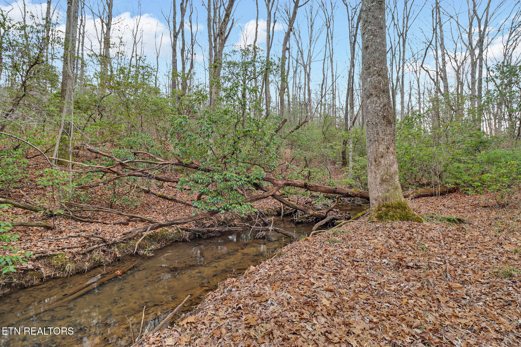 218 Channing Lane Crossville TN 38555