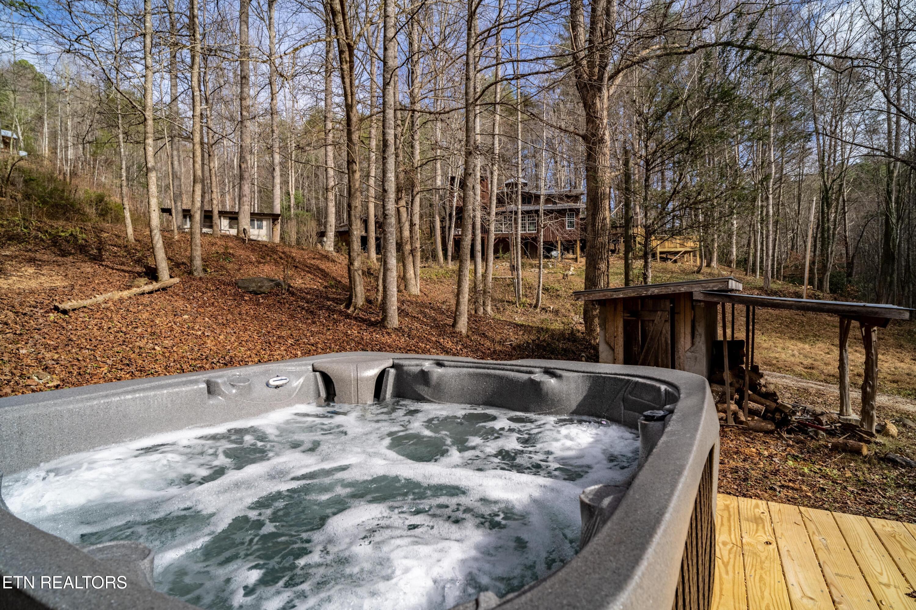 915 Newcombe Branch Way Cosby TN 37722