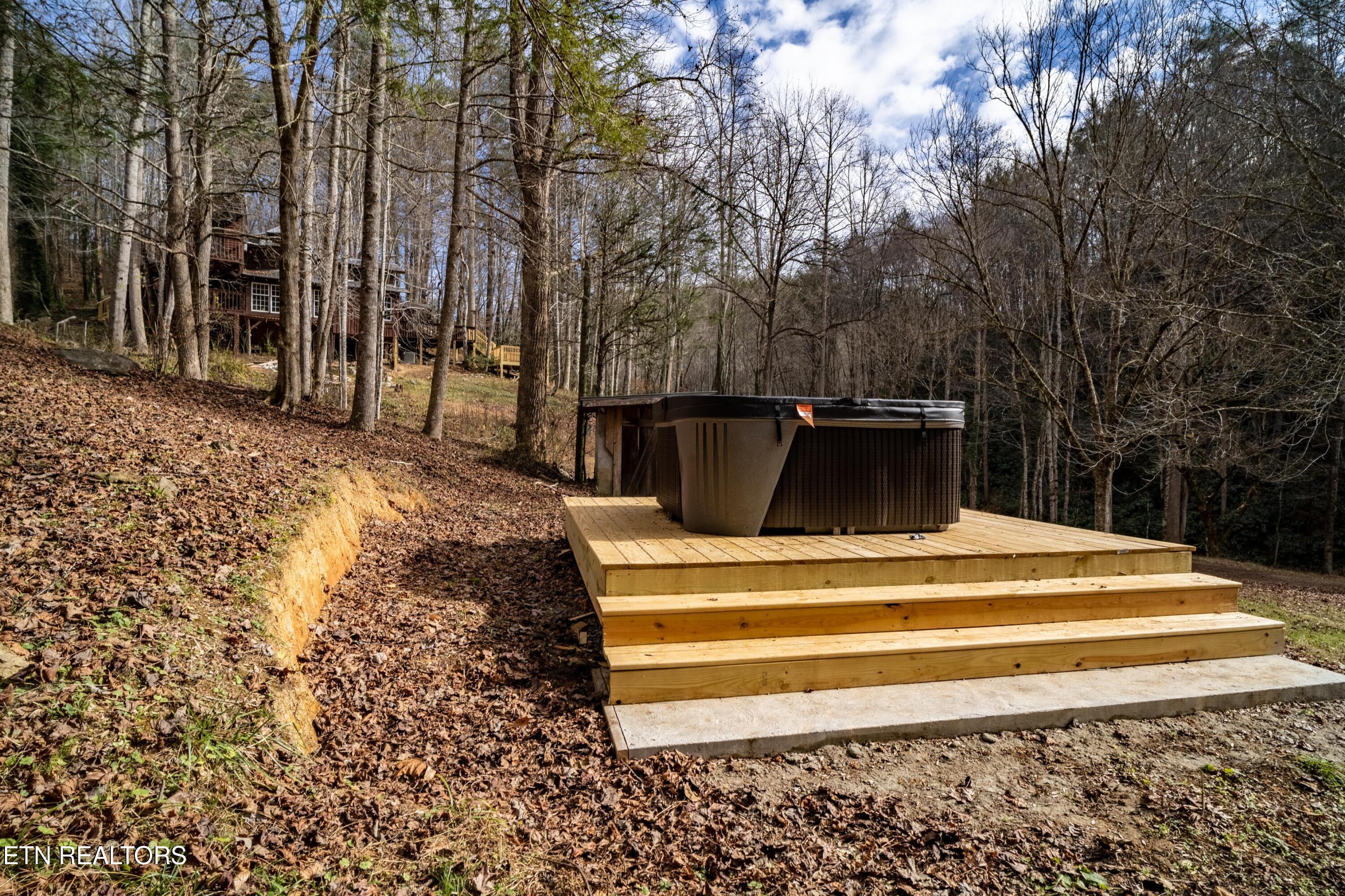915 Newcombe Branch Way Cosby TN 37722