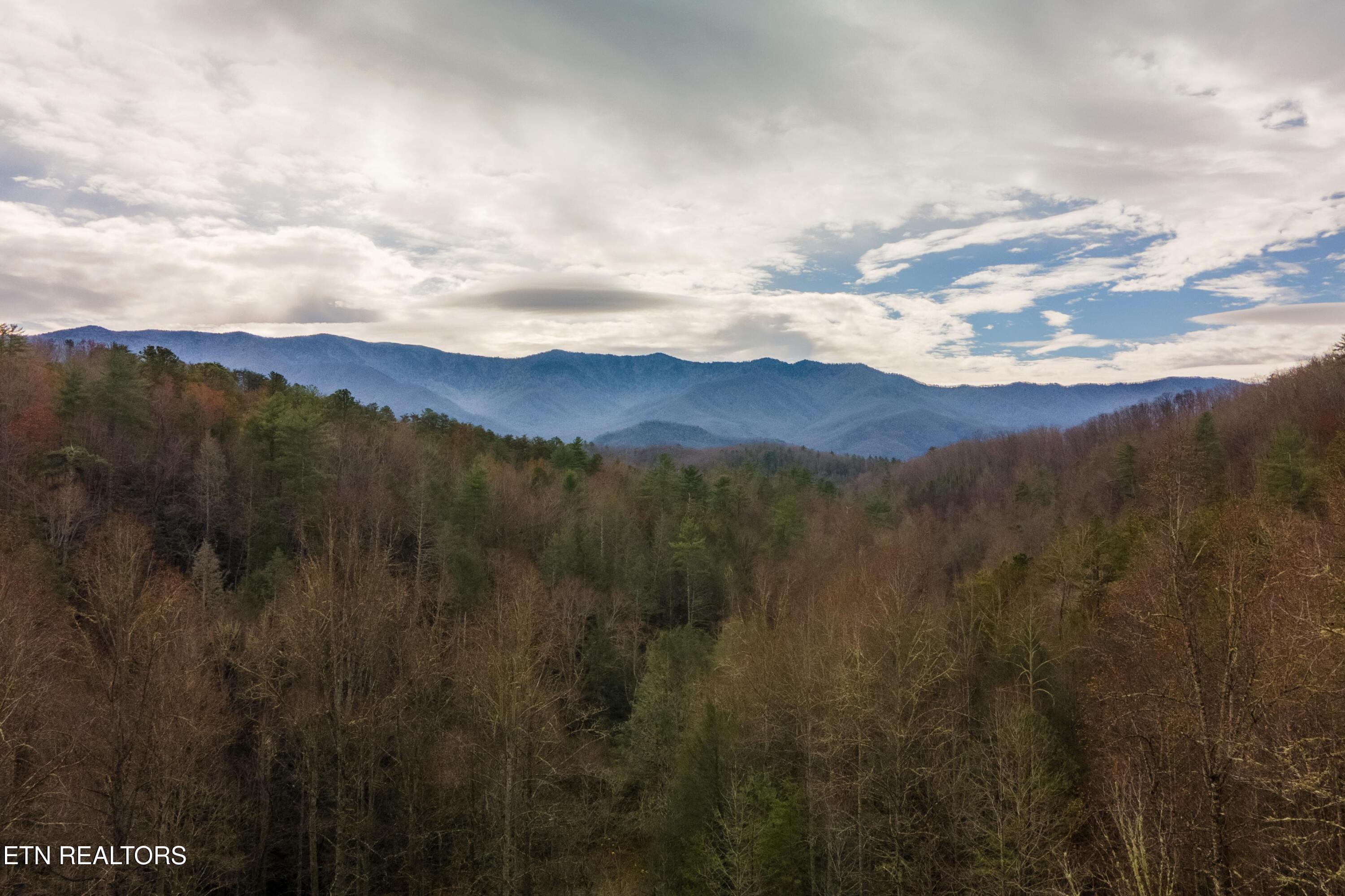 915 Newcombe Branch Way Cosby TN 37722