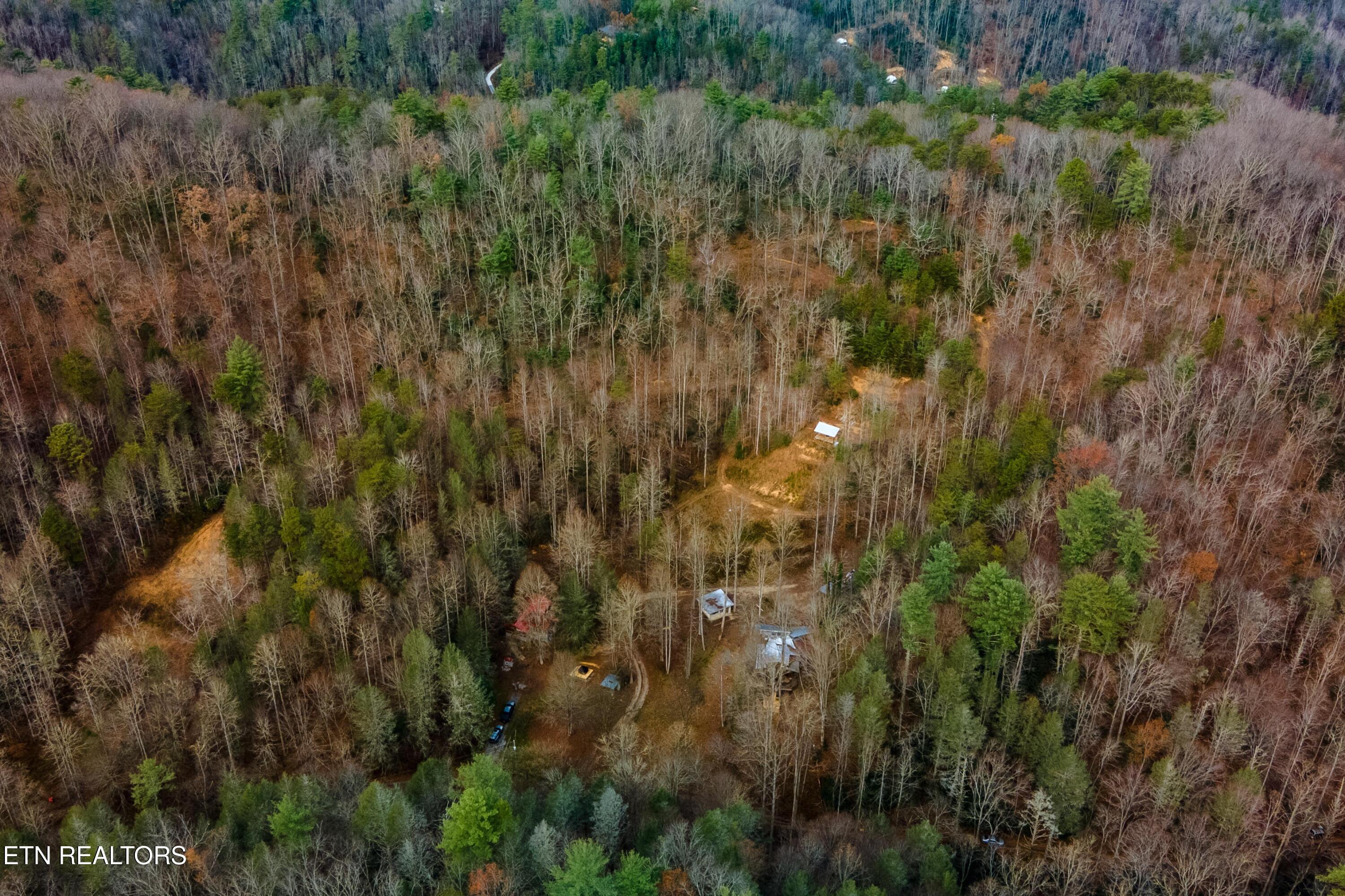 915 Newcombe Branch Way Cosby TN 37722
