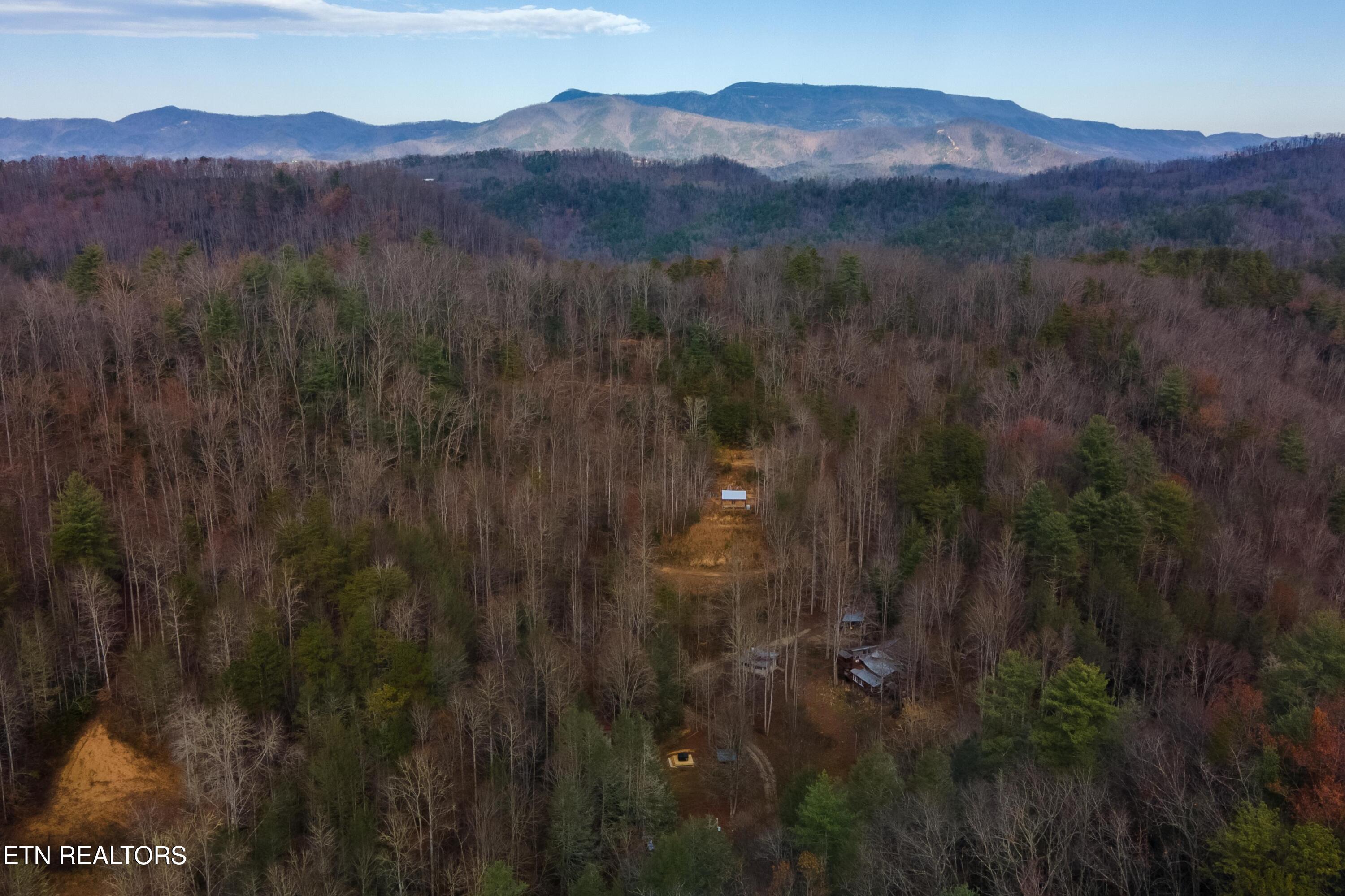 915 Newcombe Branch Way Cosby TN 37722