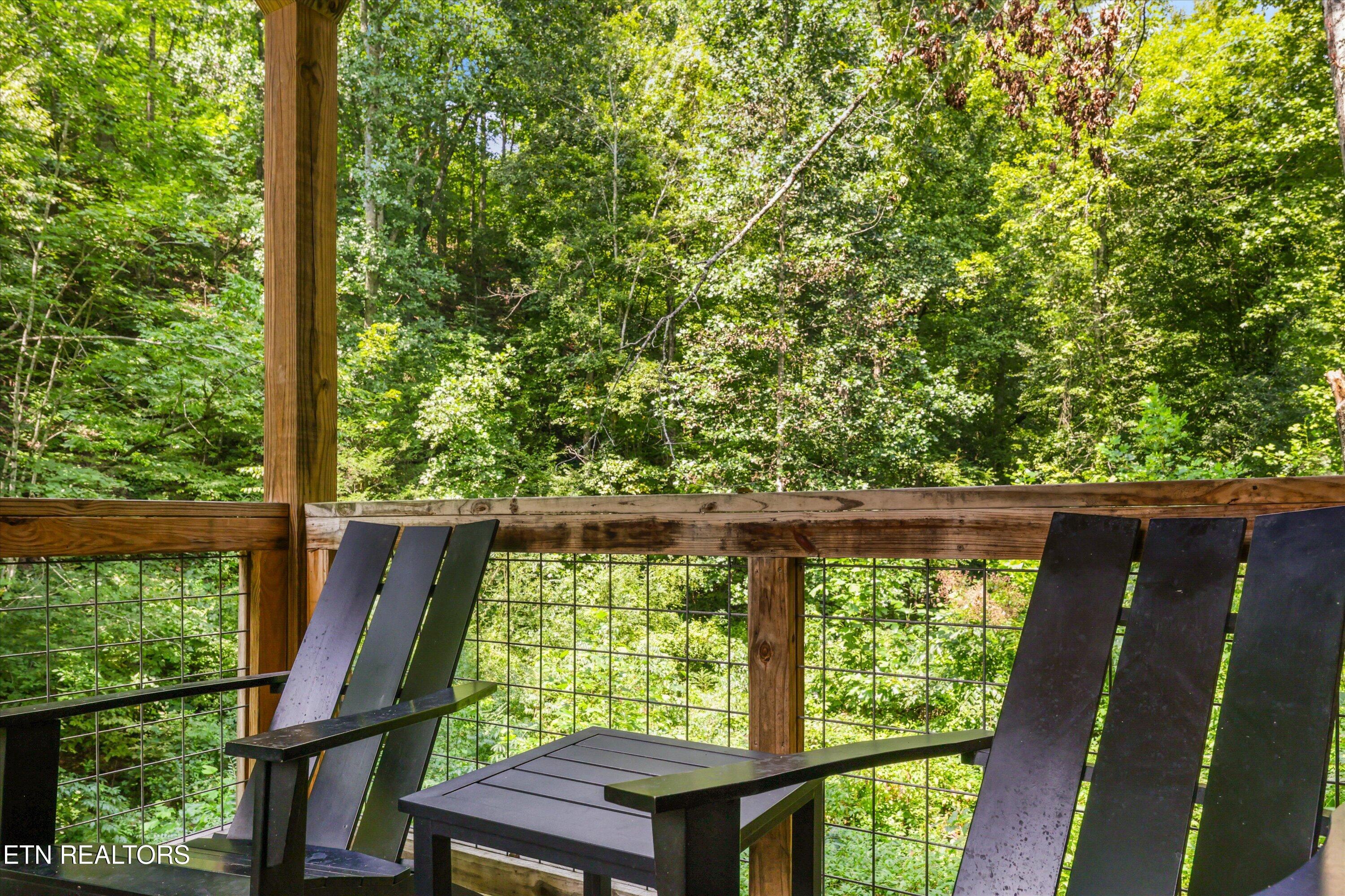 1613 Bluff Ridge Road Sevierville TN 37876