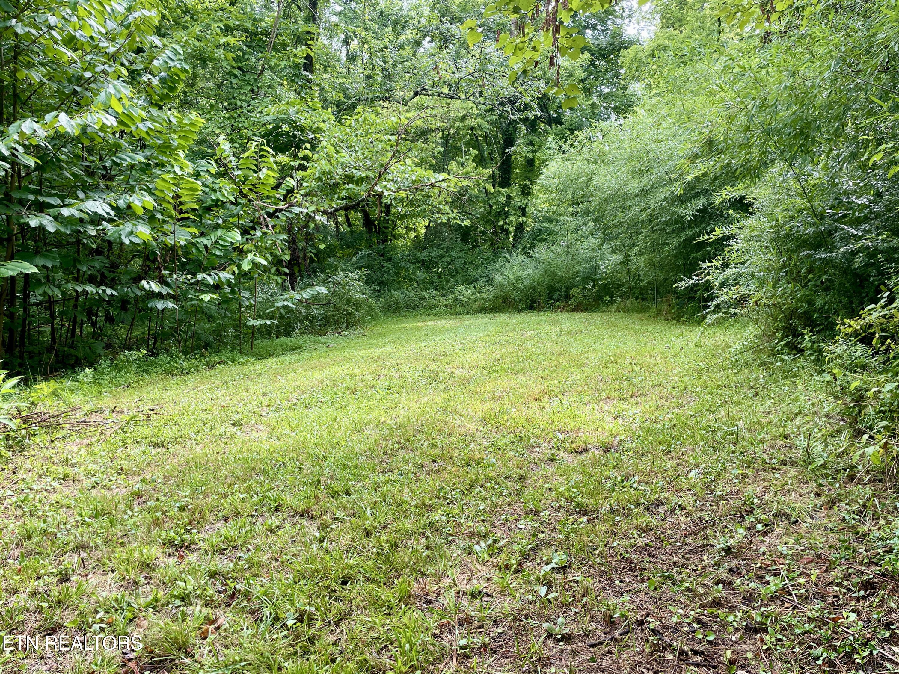 5117 Odell Road Knoxville TN 37920