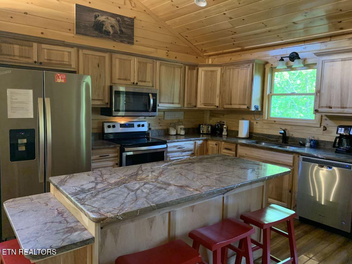 3126 Bear Mountain Lane Sevierville TN 37876
