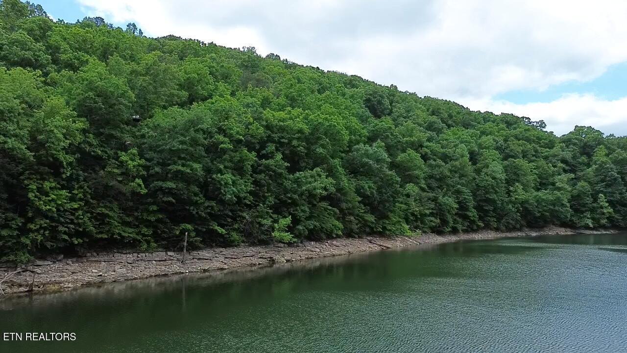 267 Lakemont Lane Caryville TN 37714