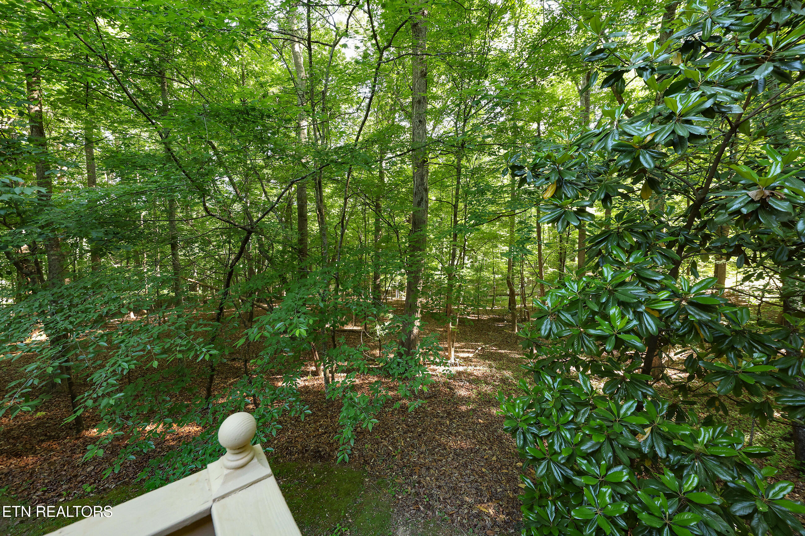 45 Hickory Trail Norris TN 37828
