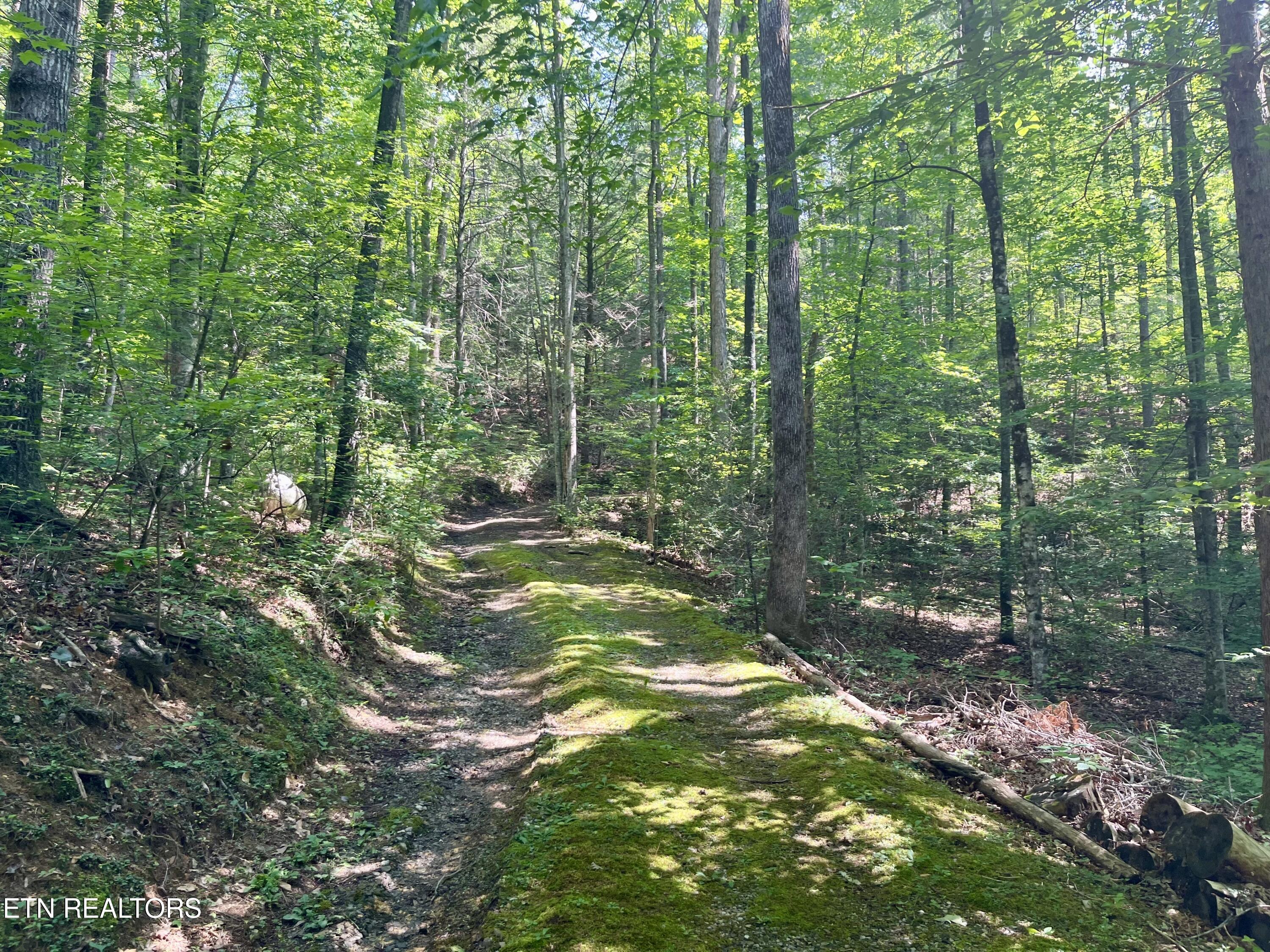 2537 Waldens Creek Road Sevierville TN 37862