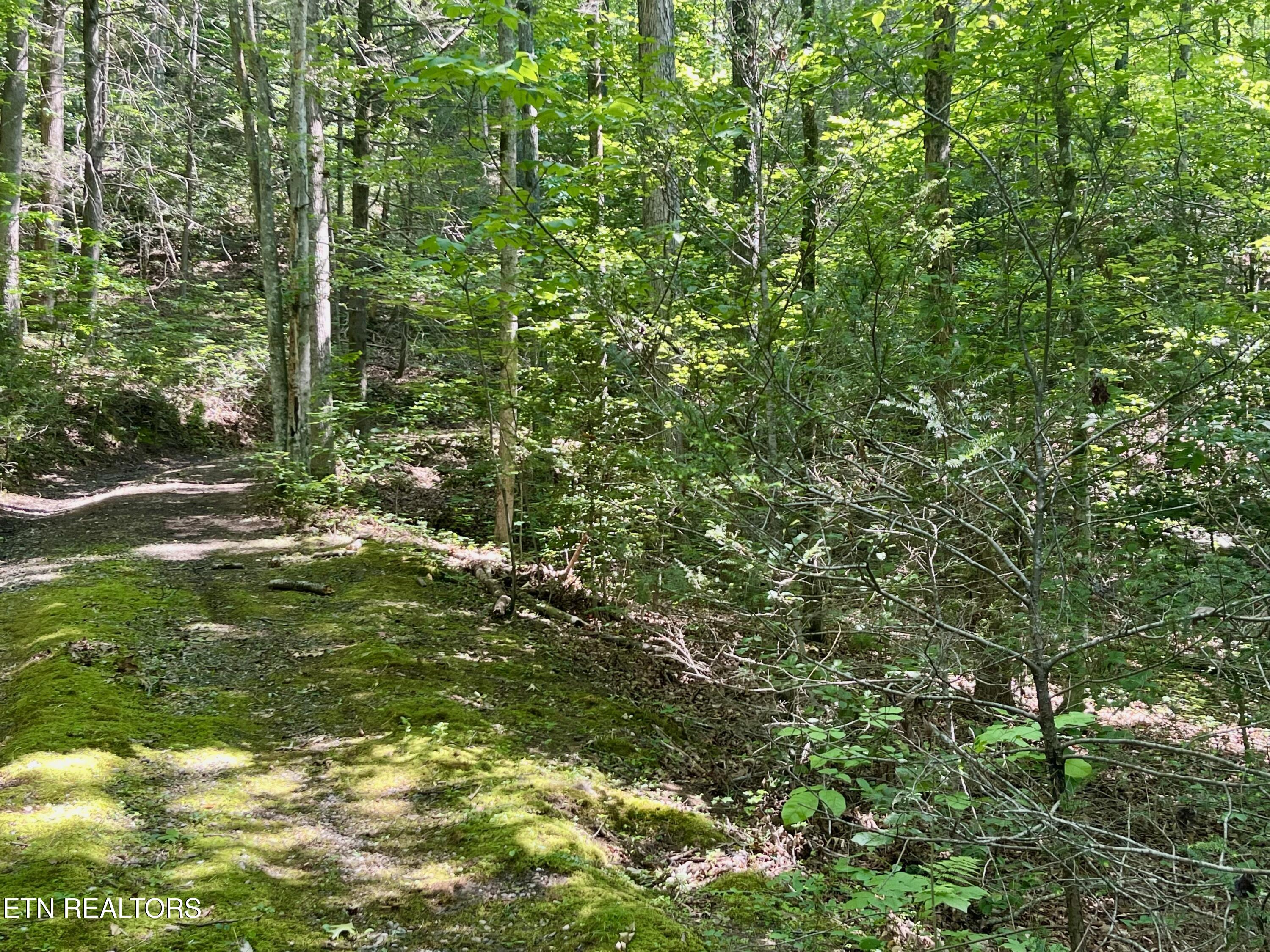 2537 Waldens Creek Road Sevierville TN 37862