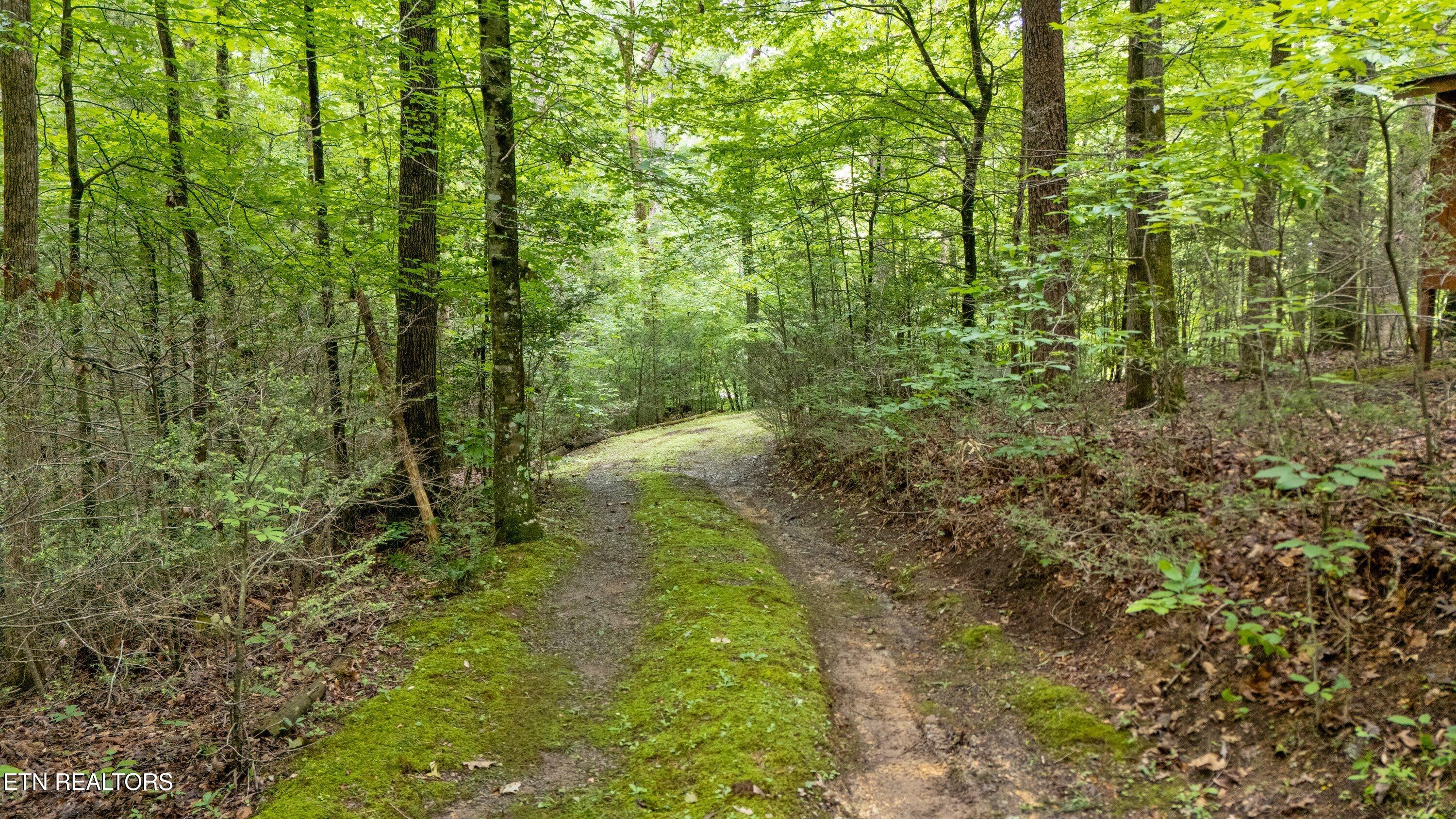 2537 Waldens Creek Road Sevierville TN 37862