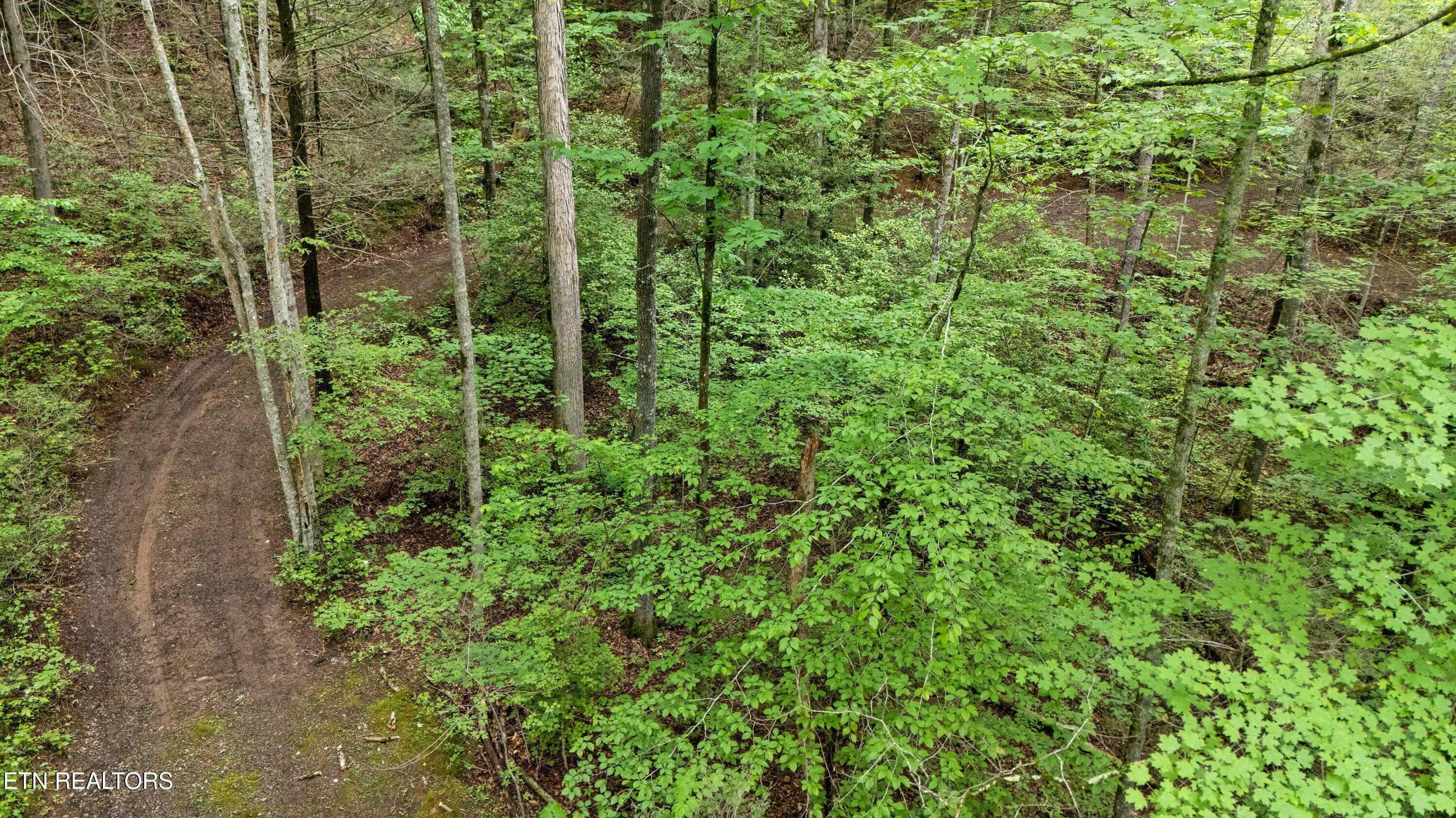 2537 Waldens Creek Road Sevierville TN 37862