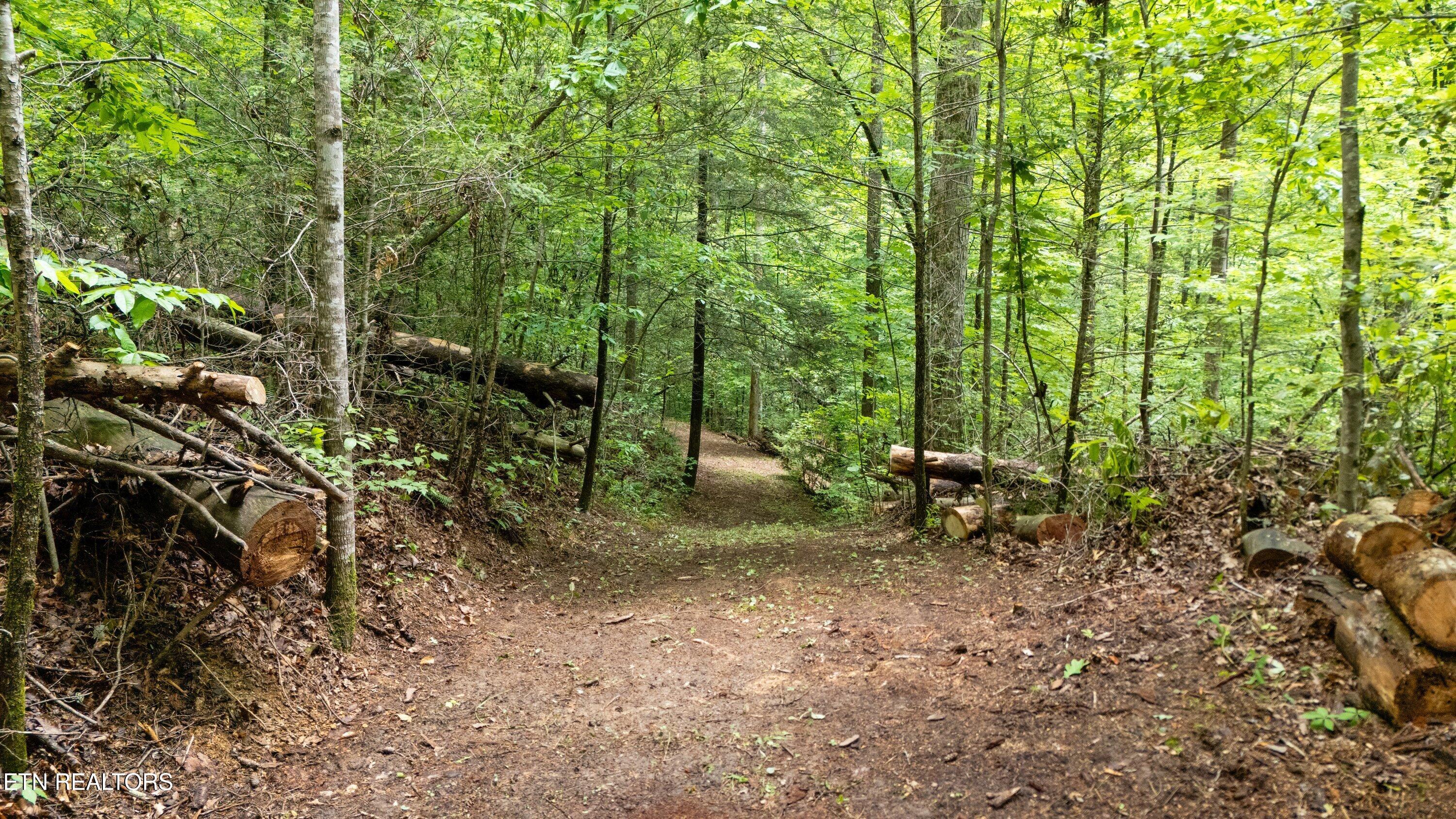 2537 Waldens Creek Road Sevierville TN 37862