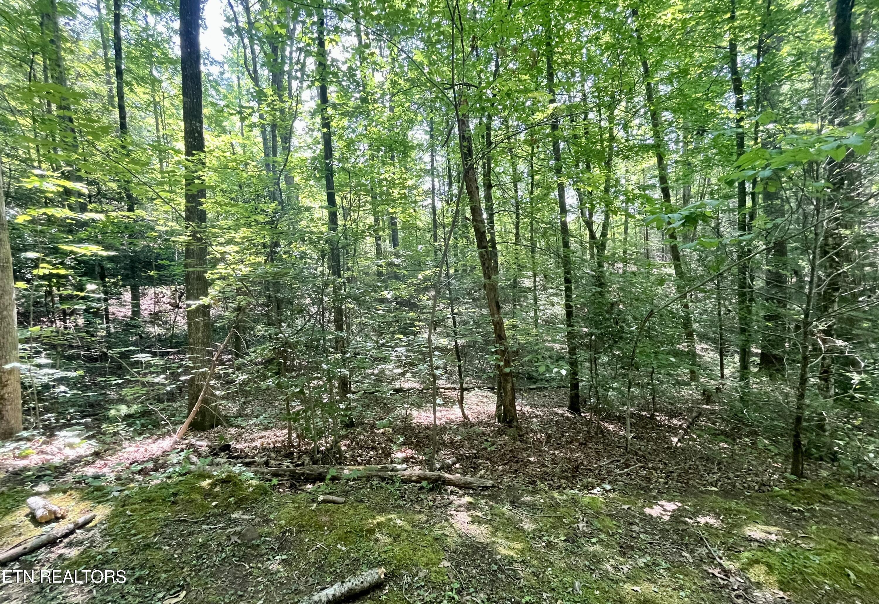 2537 Waldens Creek Road Sevierville TN 37862