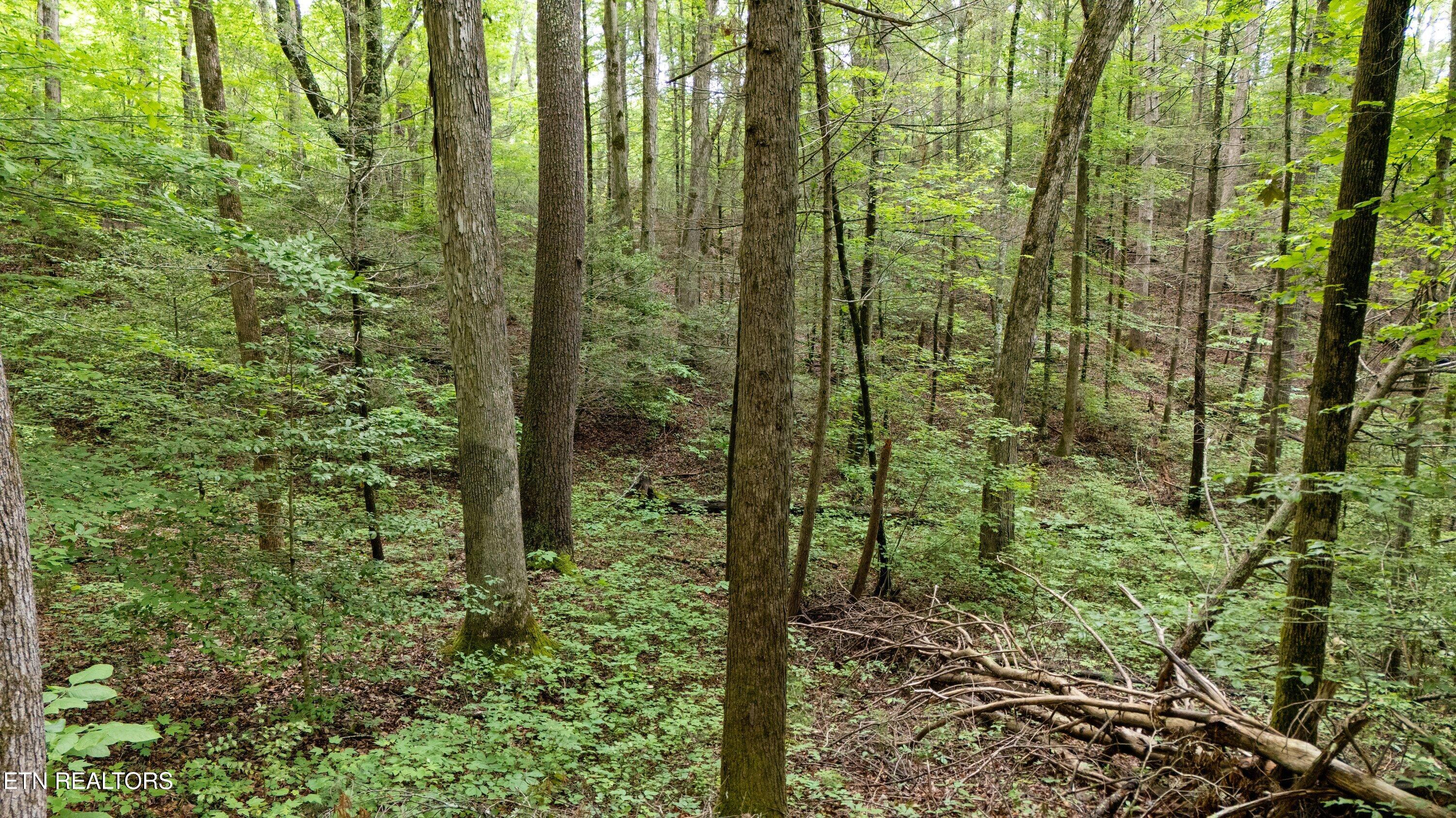 2537 Waldens Creek Road Sevierville TN 37862