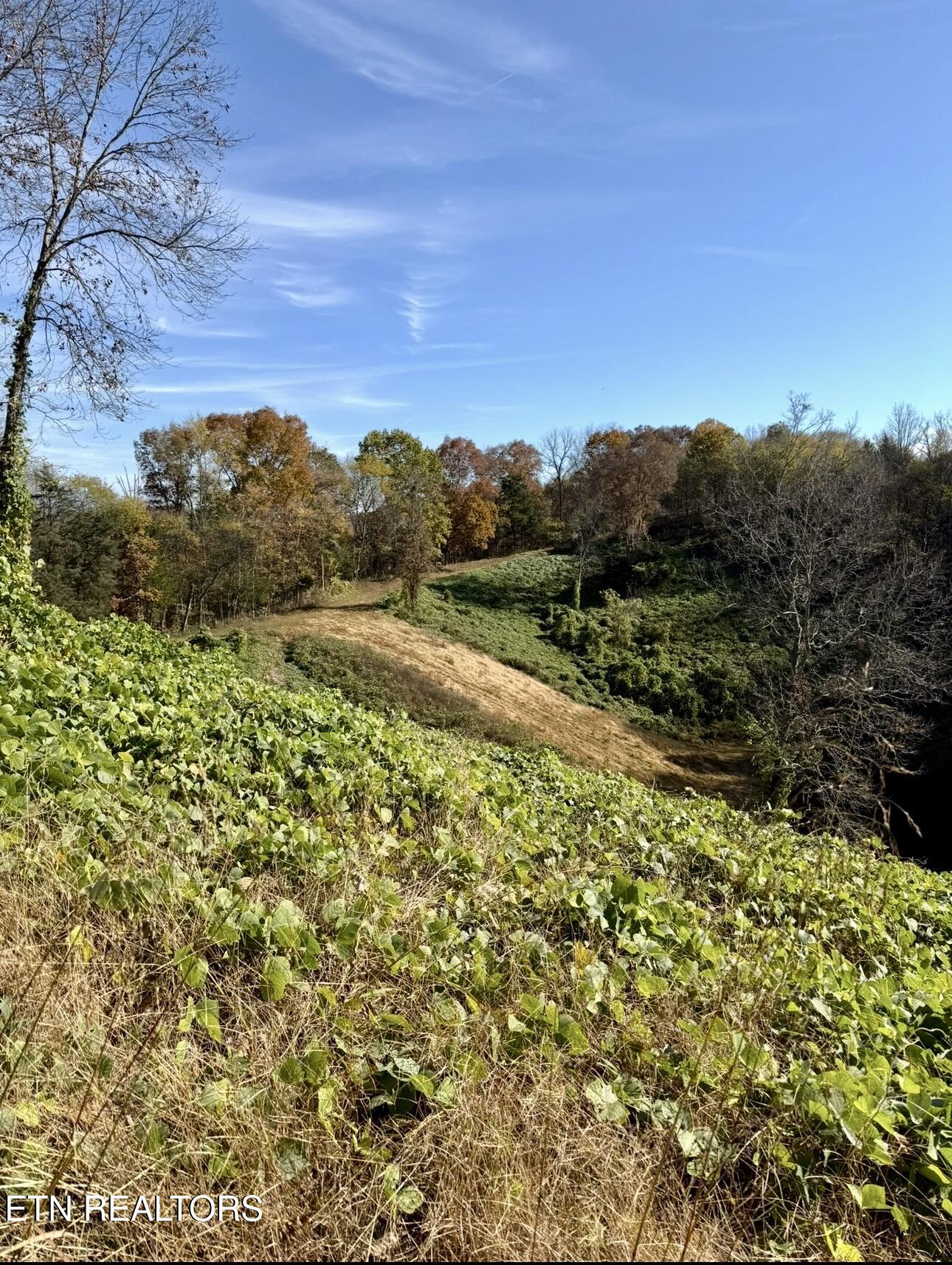 1668 Goodwater Road Bybee TN 37713