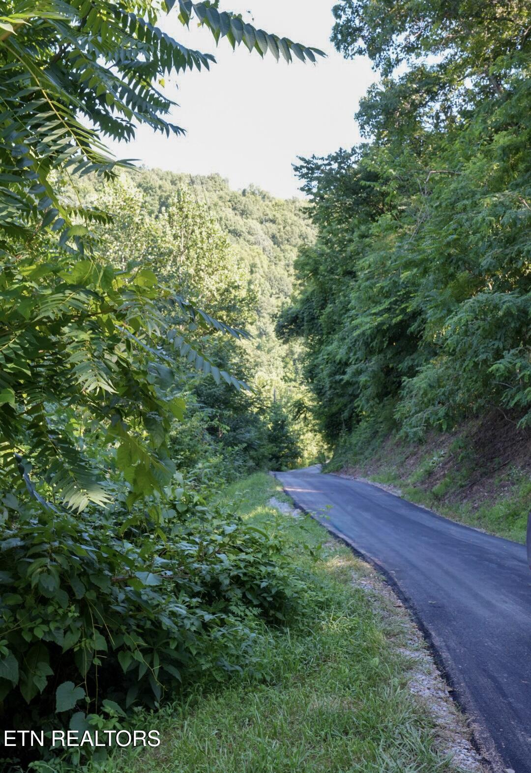 1668 Goodwater Road Bybee TN 37713