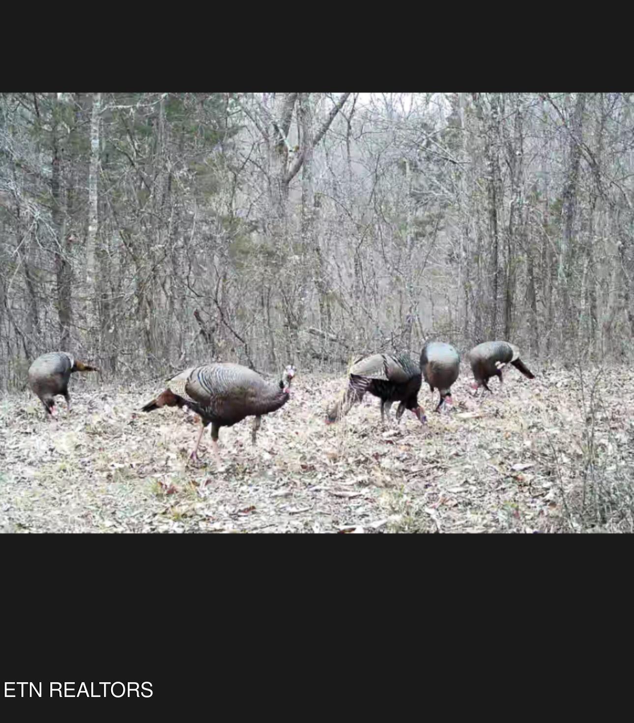 1668 Goodwater Road Bybee TN 37713