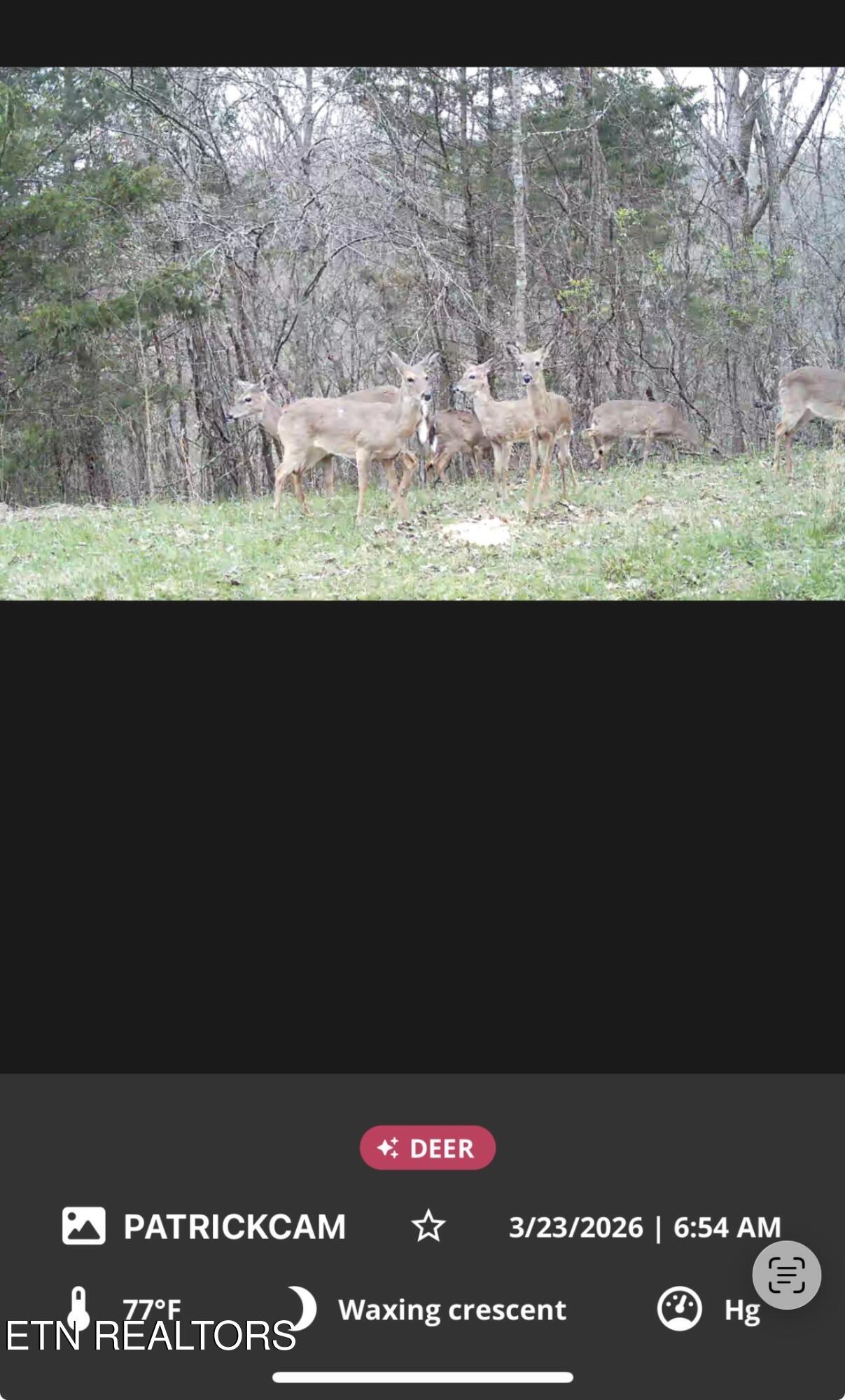 1668 Goodwater Road Bybee TN 37713
