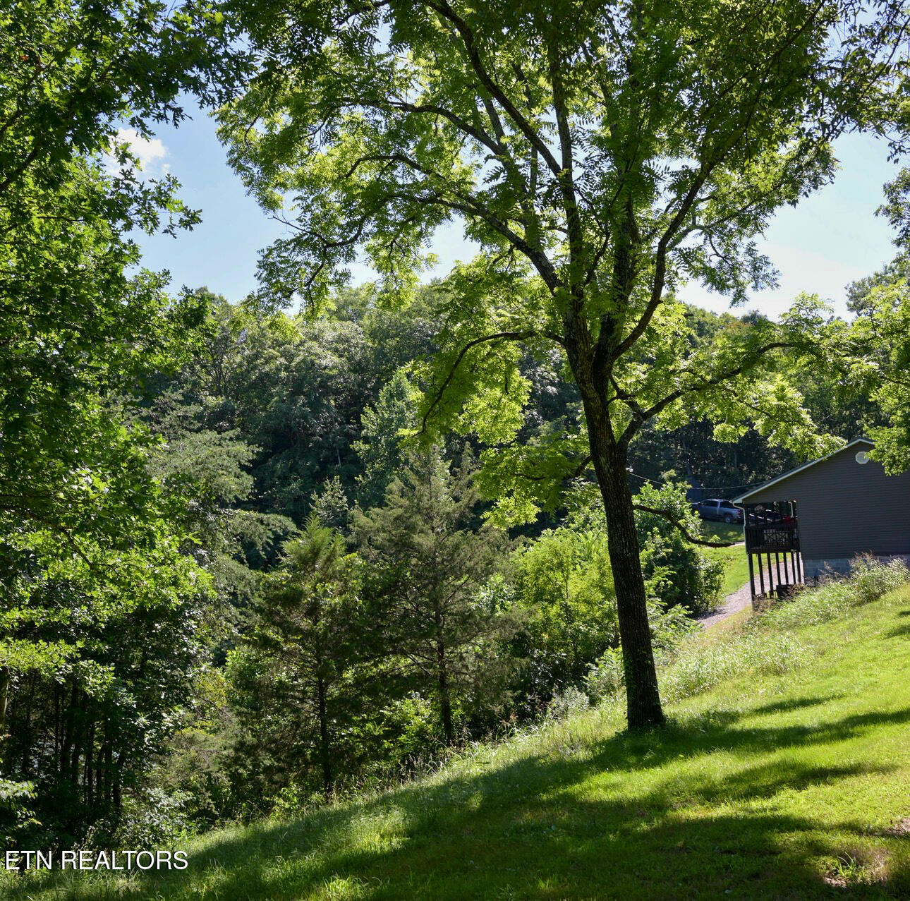 1668 Goodwater Road Bybee TN 37713