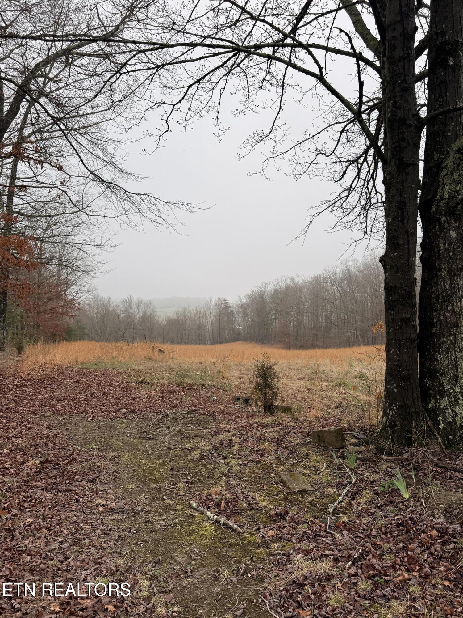 133 Stone Ridge Circle Grandview TN 37337