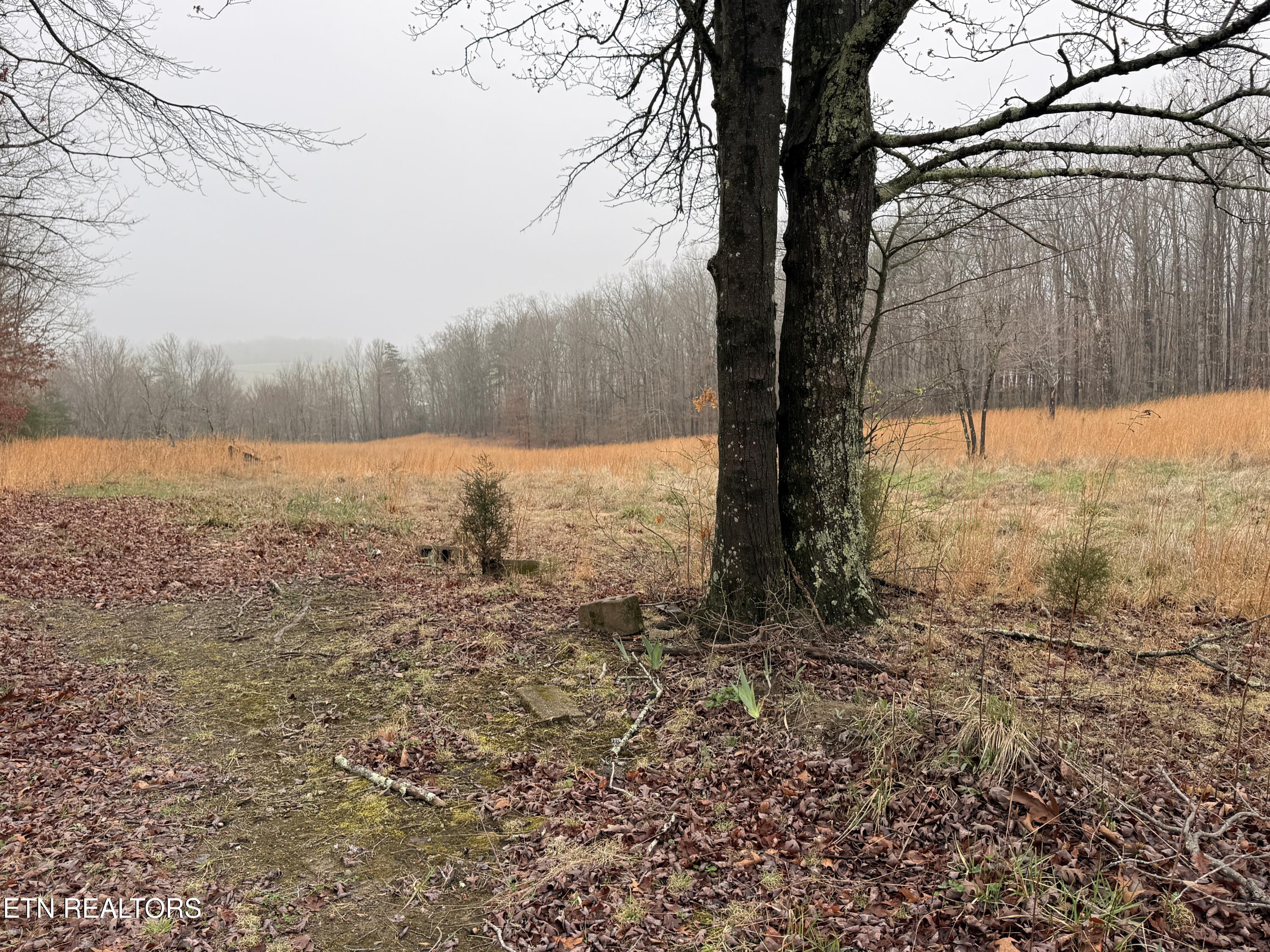 133 Stone Ridge Circle Grandview TN 37337