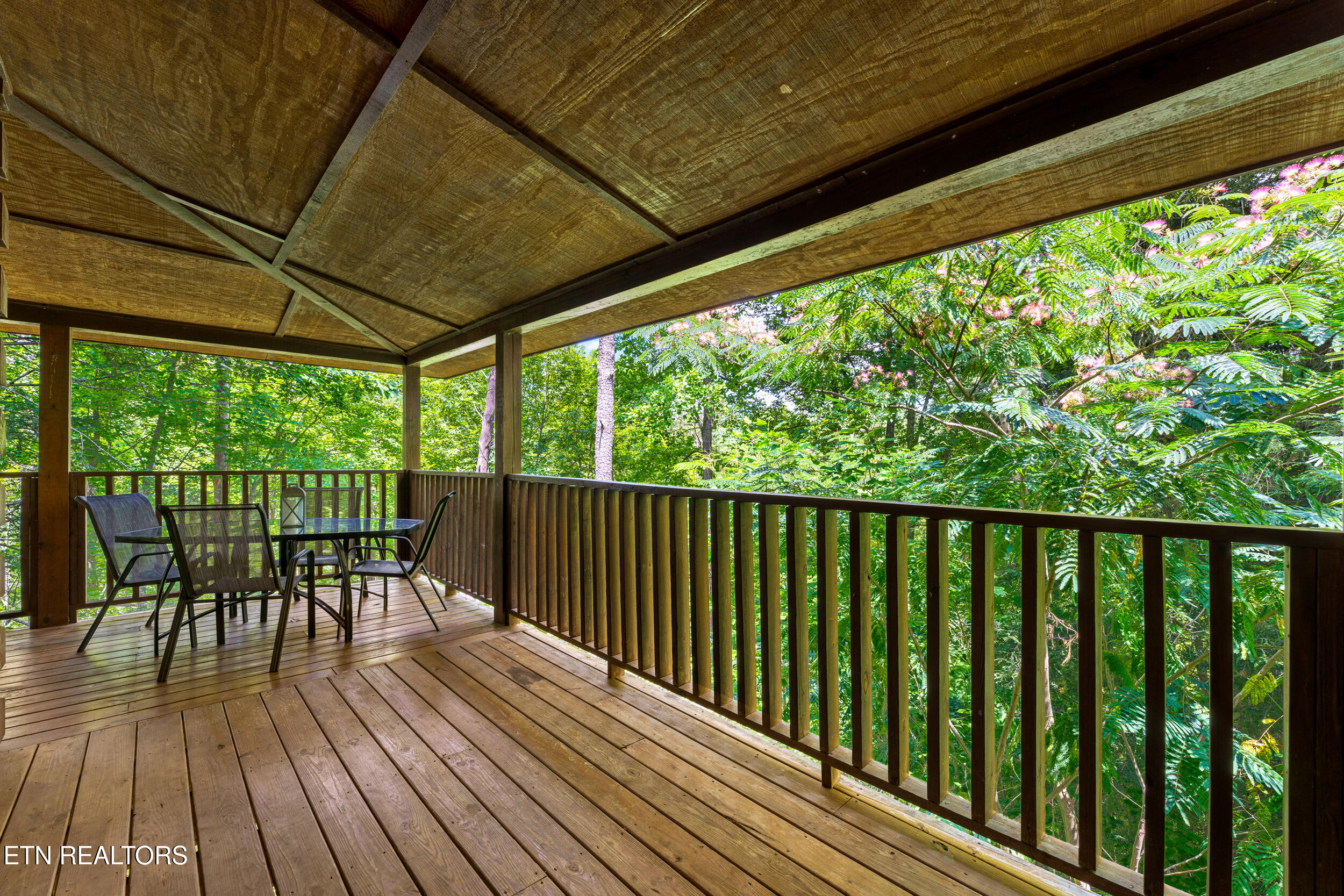 3520 Bear Pen Gap Road Sevierville TN 37876