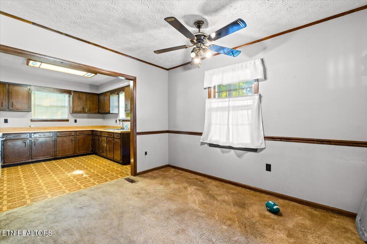104 Rich Lane Lafollette TN 37766