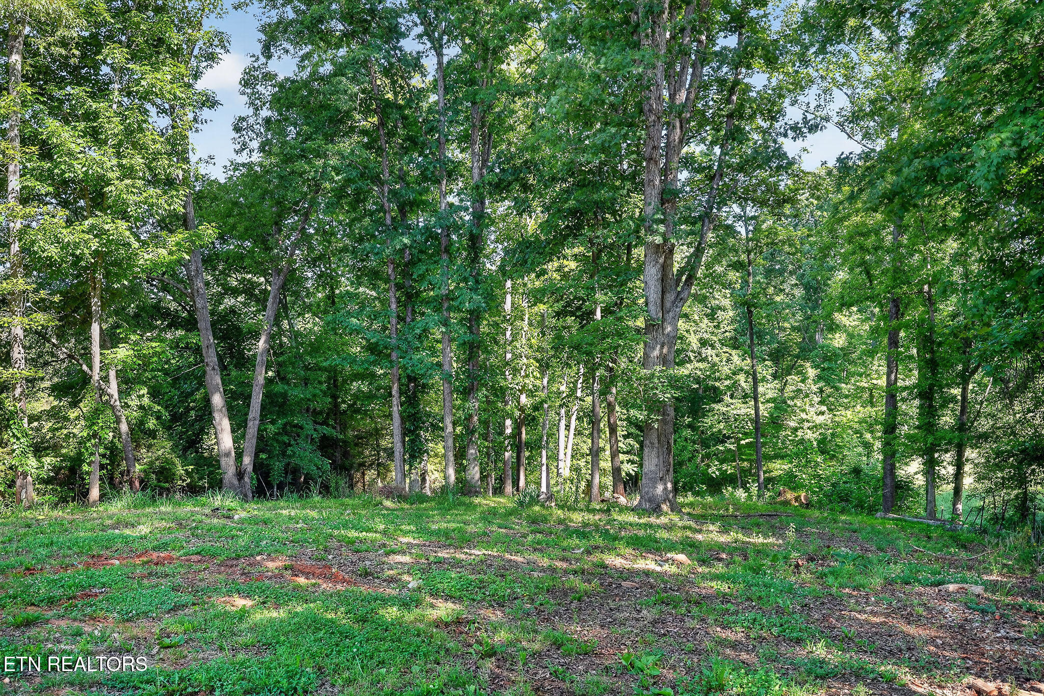 1883 Browntown Road Sparta TN 38583