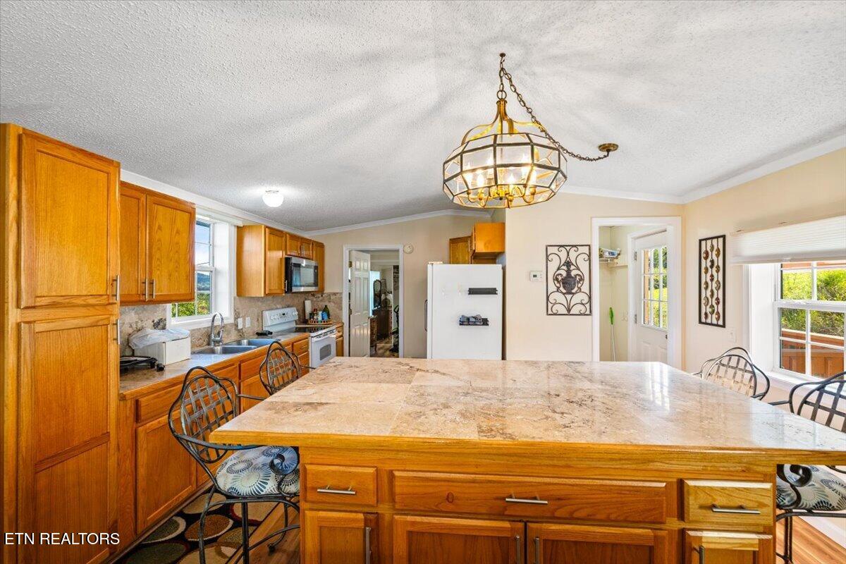 289 Carr Gap Road Speedwell TN 37870