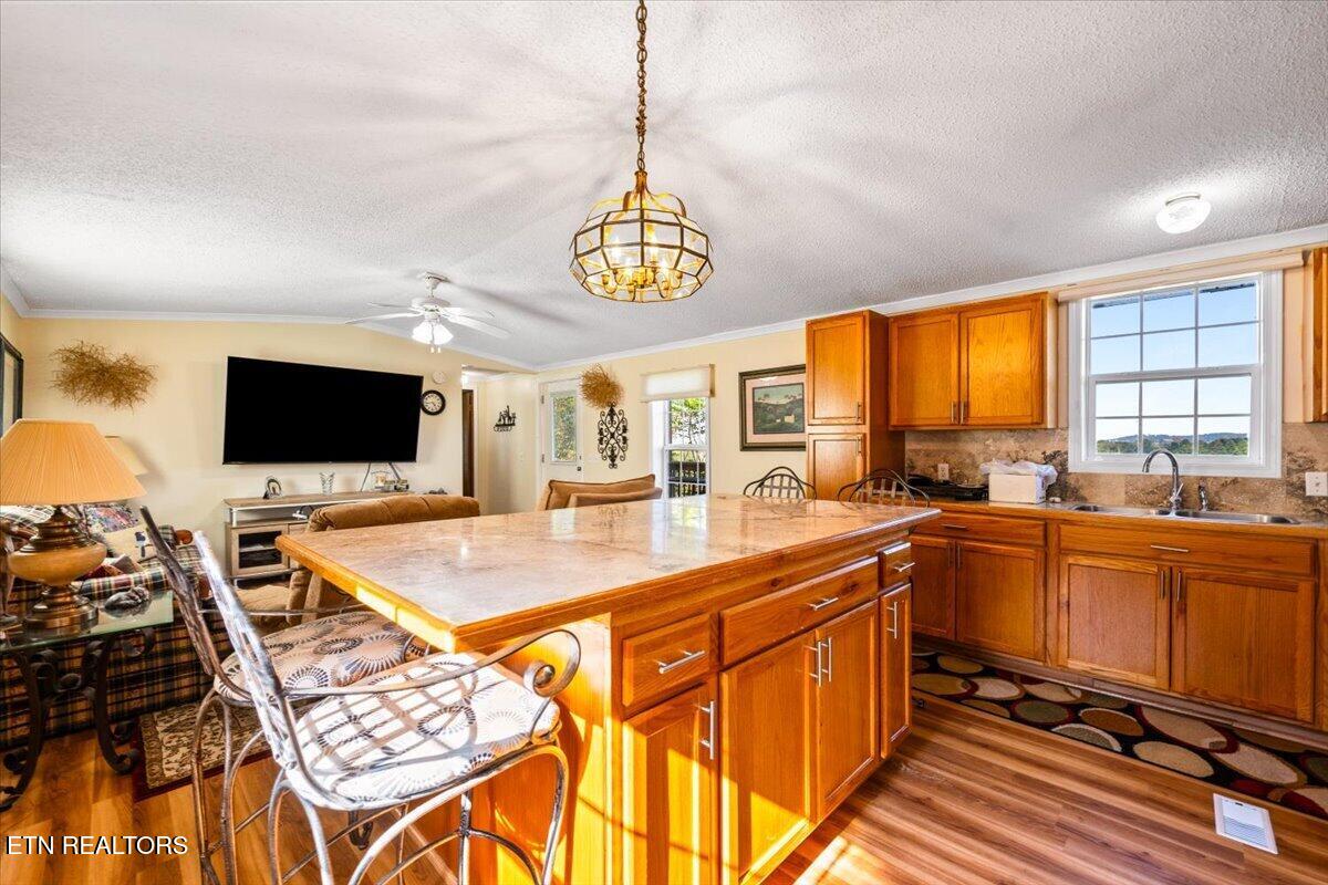 289 Carr Gap Road Speedwell TN 37870